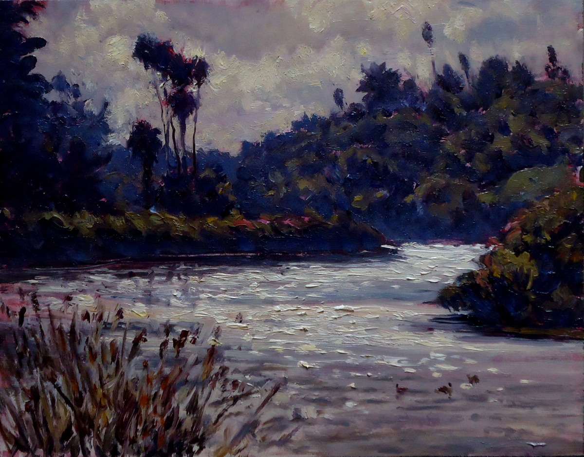 Santa Barbara Bird Refuge