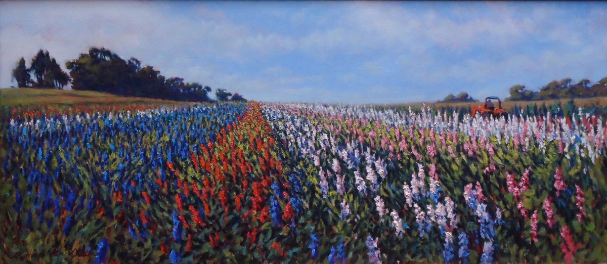 Flower Fields in Morning Light