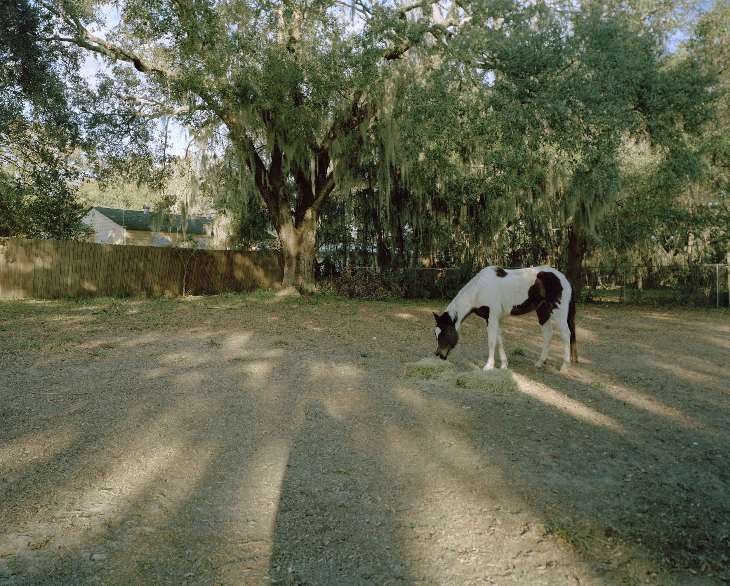 Shot on 4x5