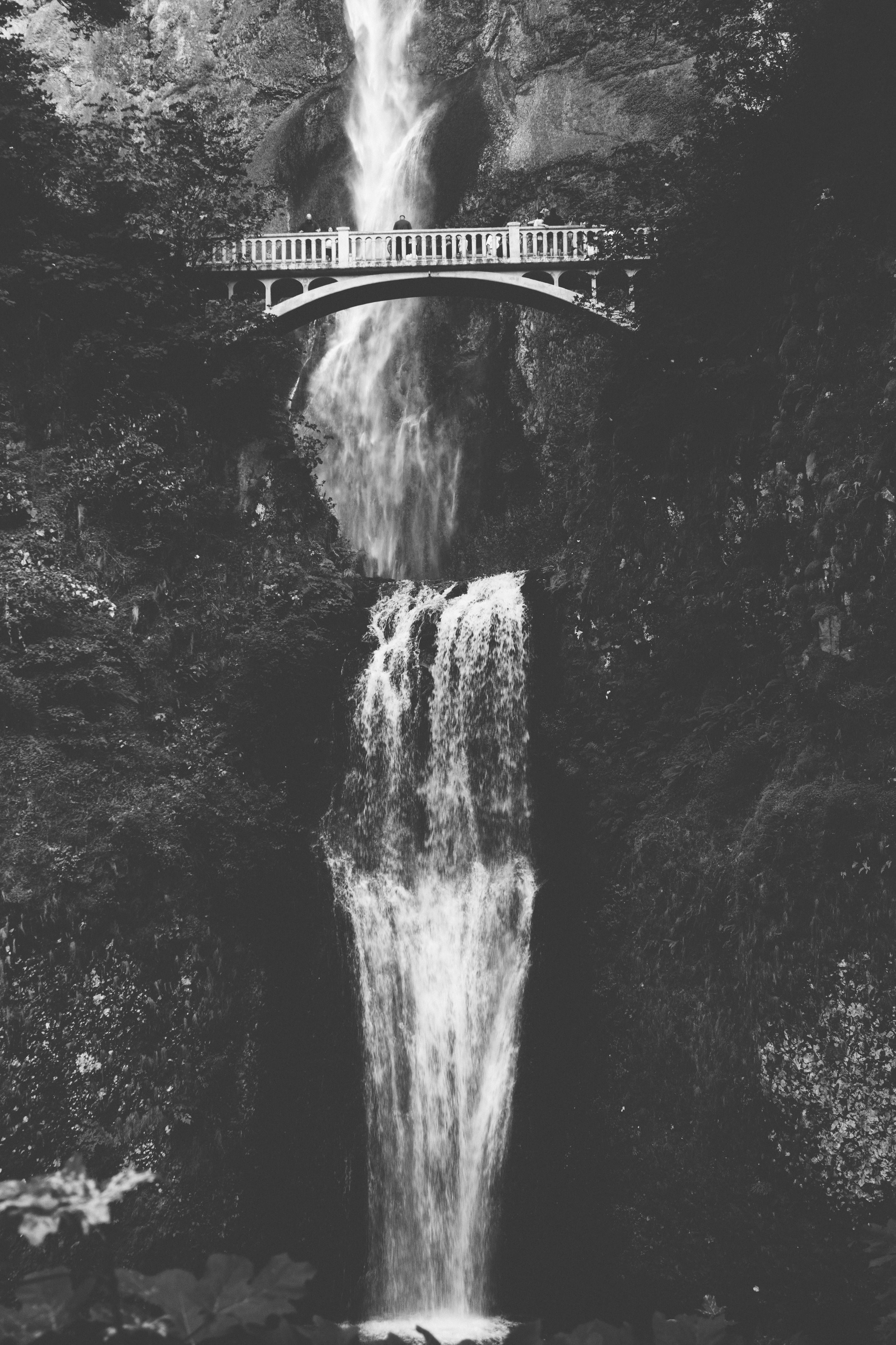 multnomah falls - b+w