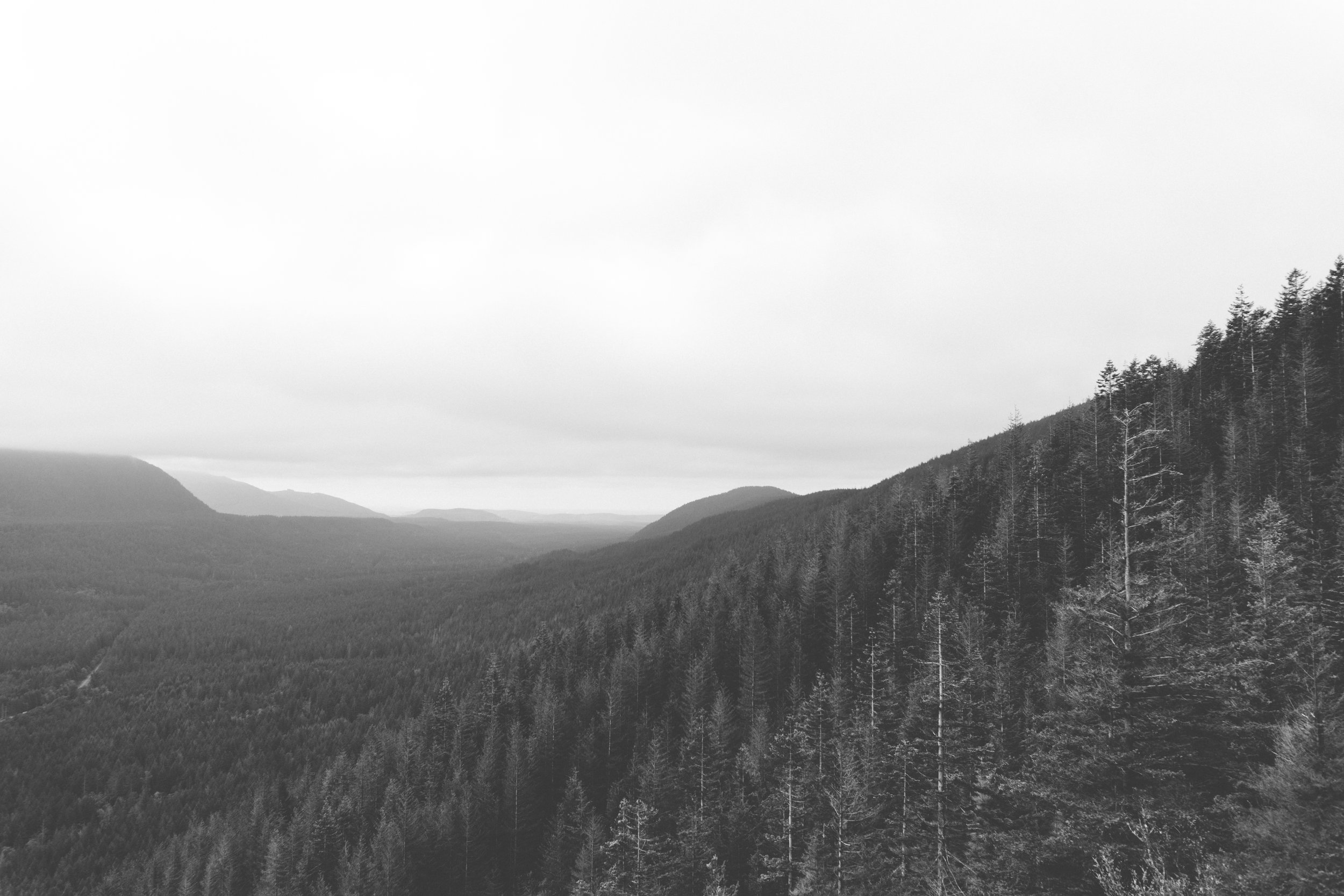 rattlesnake ledge - b+w