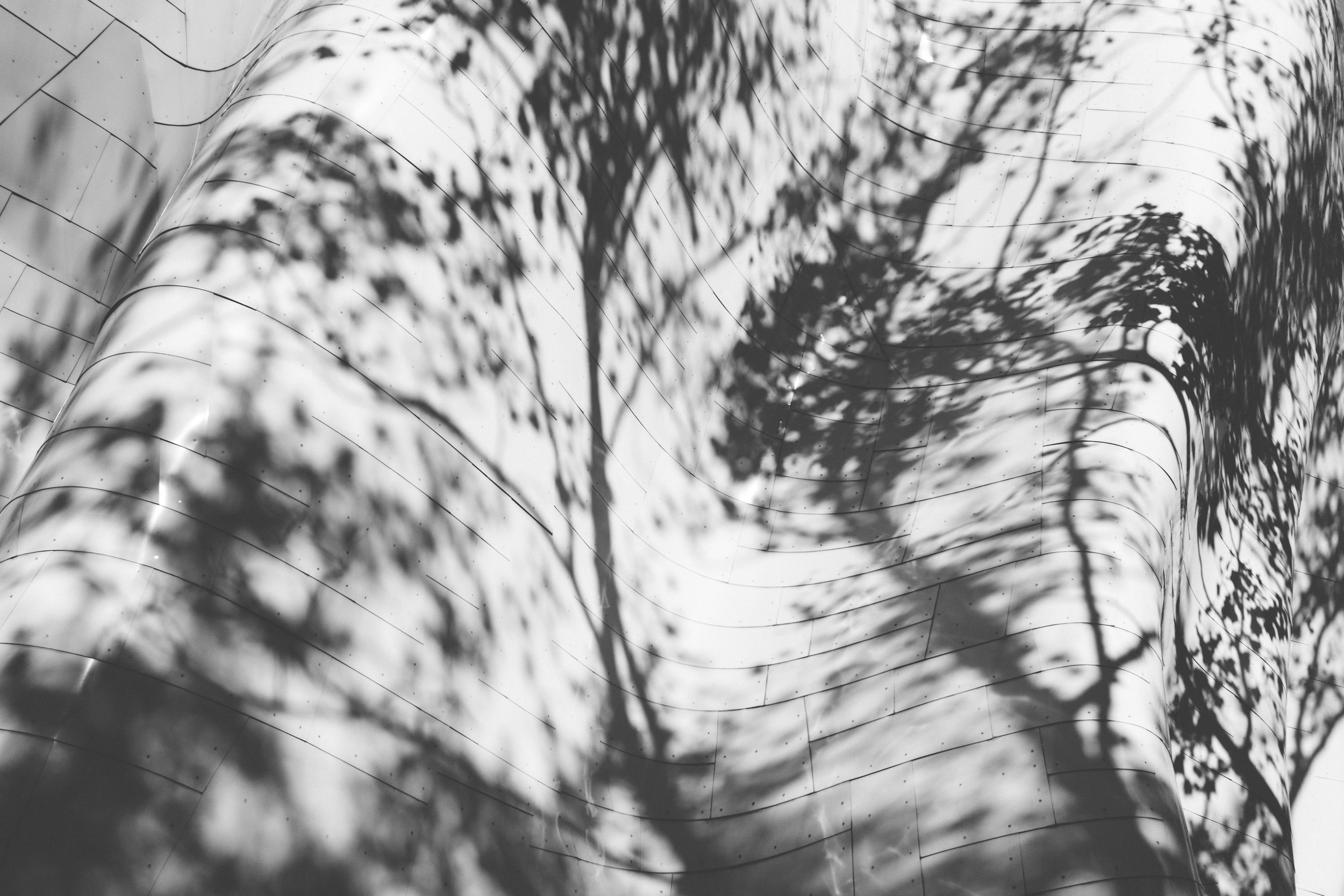 mPOP - b+w