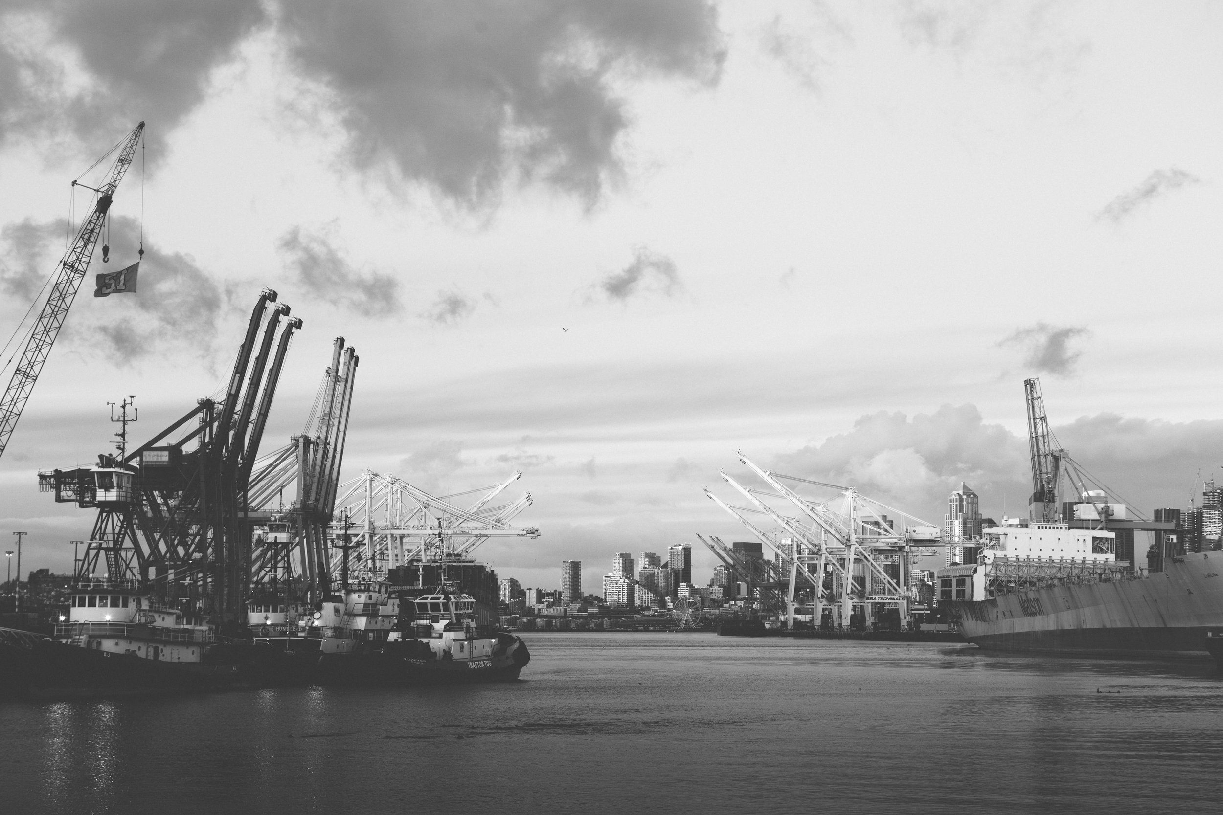 the harbor - b+w