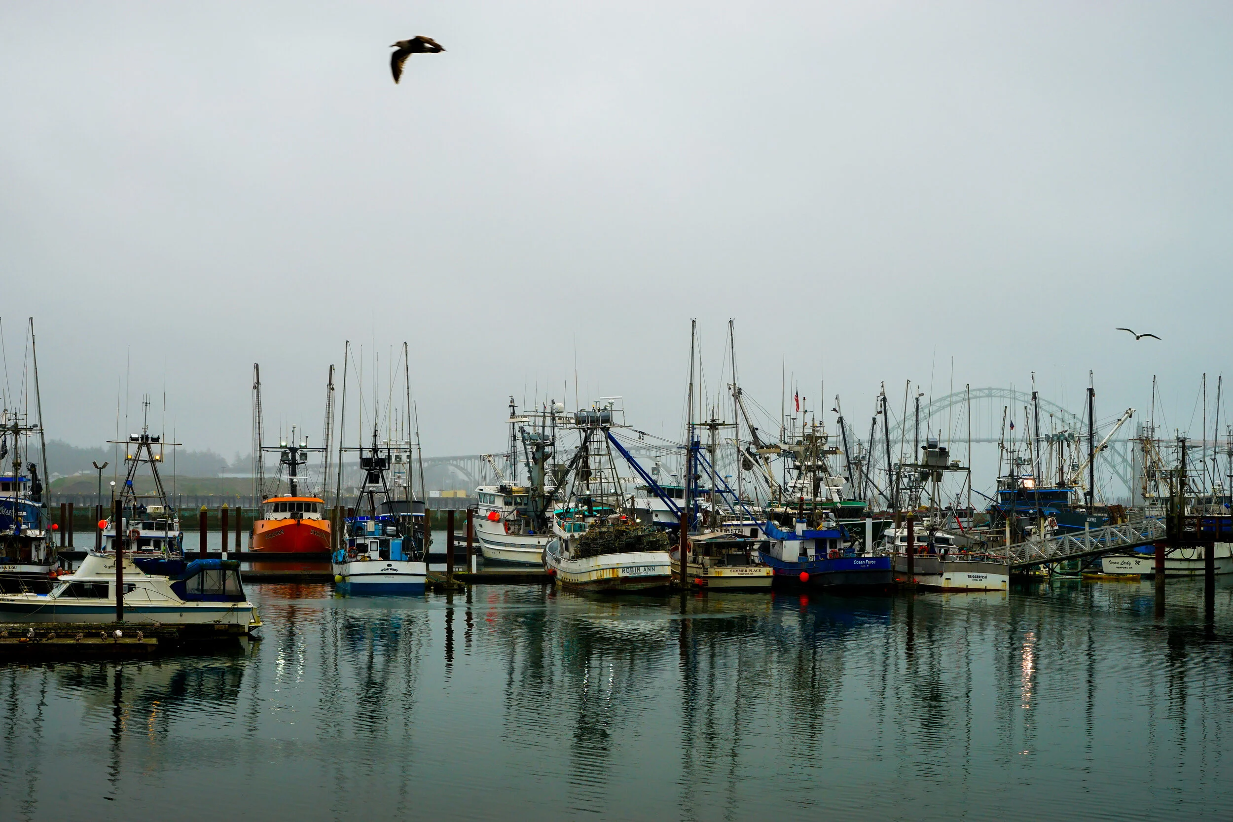 DSC04875.jpg