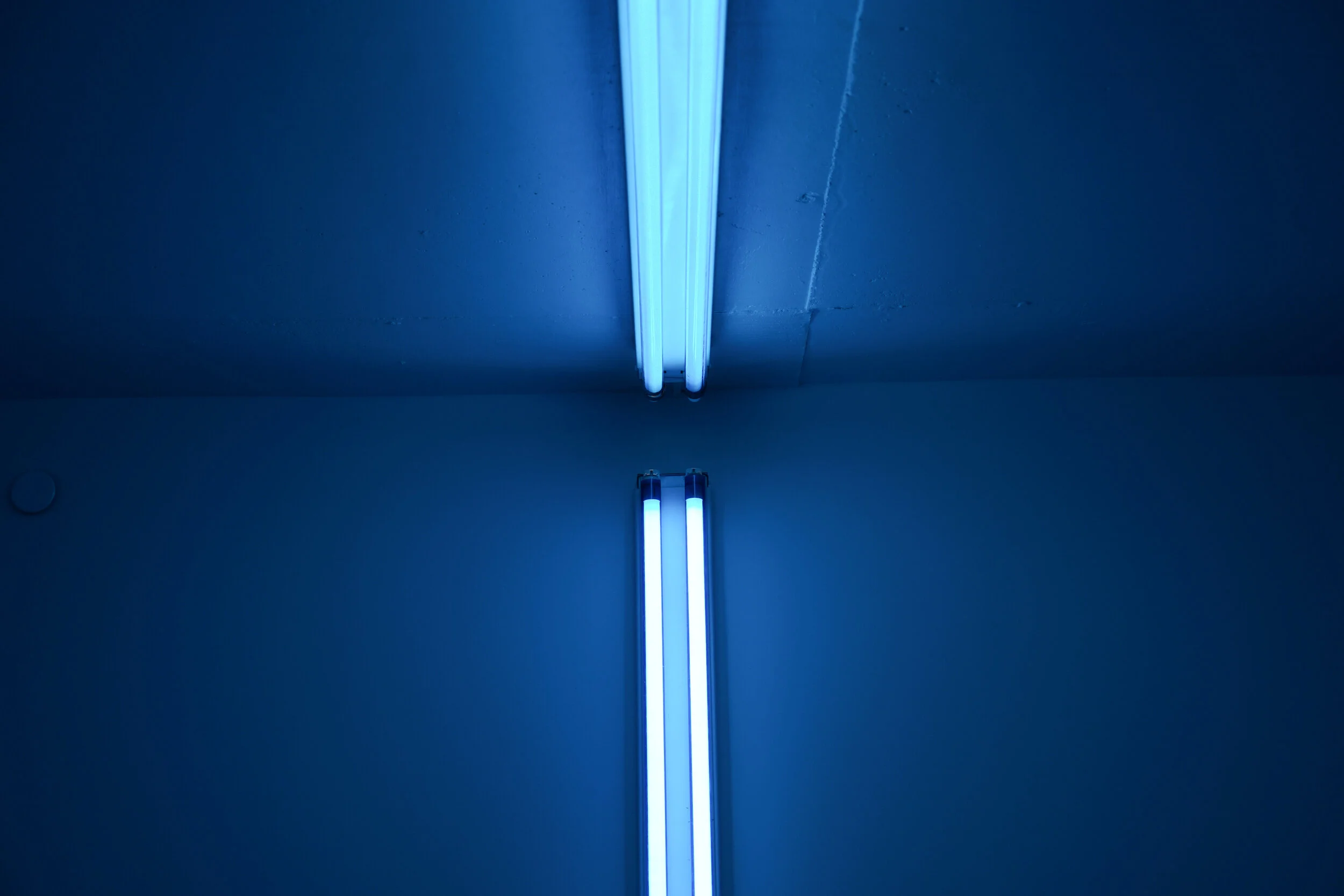 DSC00466.jpg