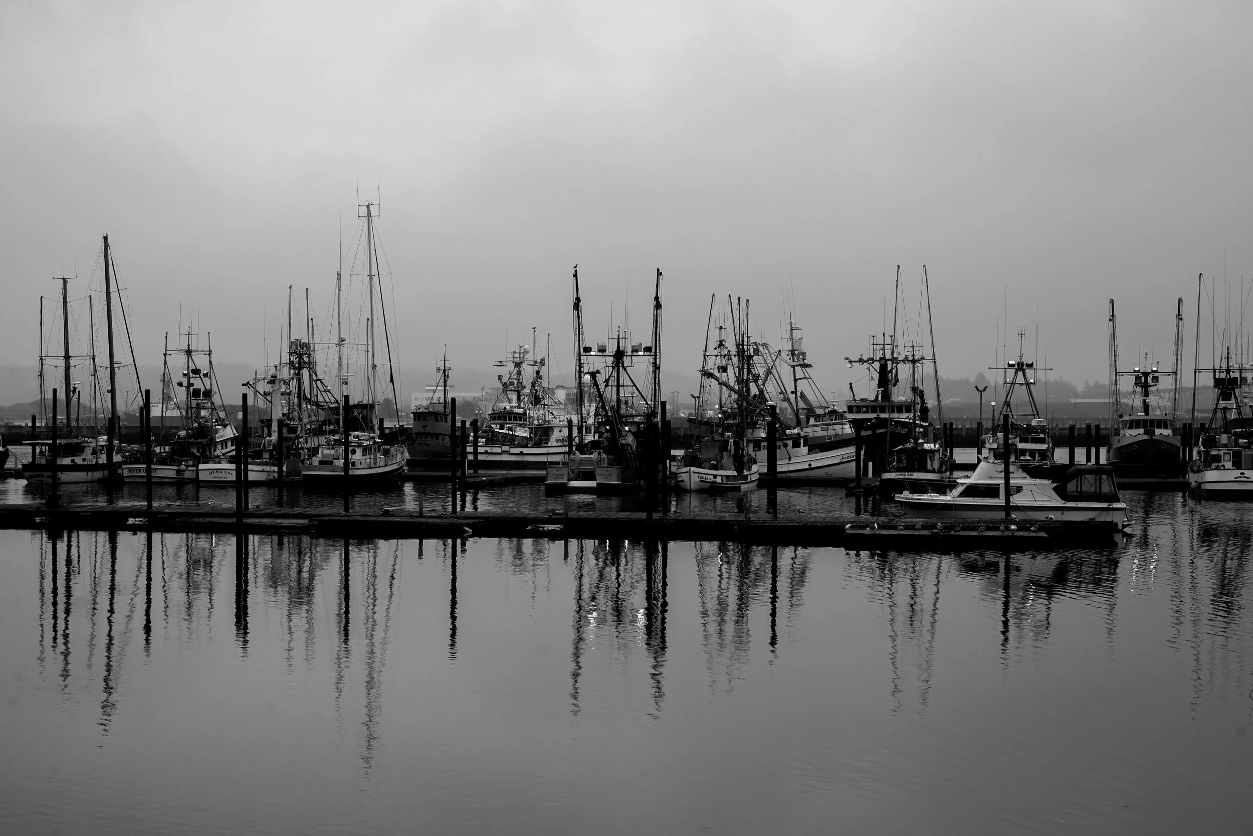 DSC04868.jpg