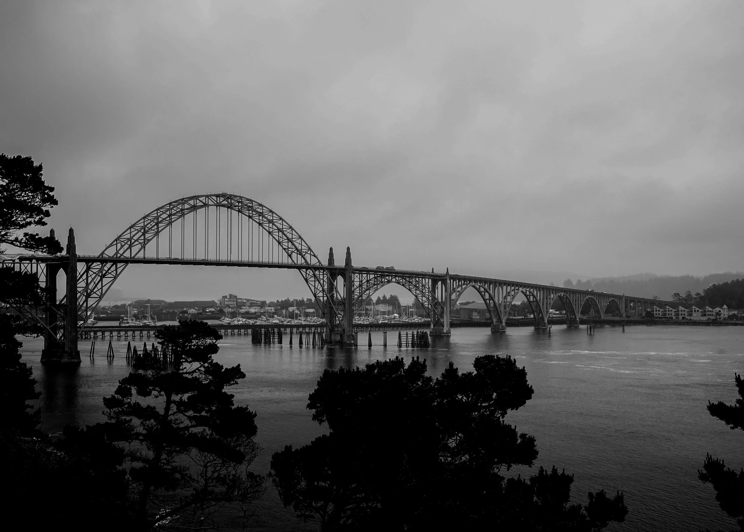 DSC04885.jpg