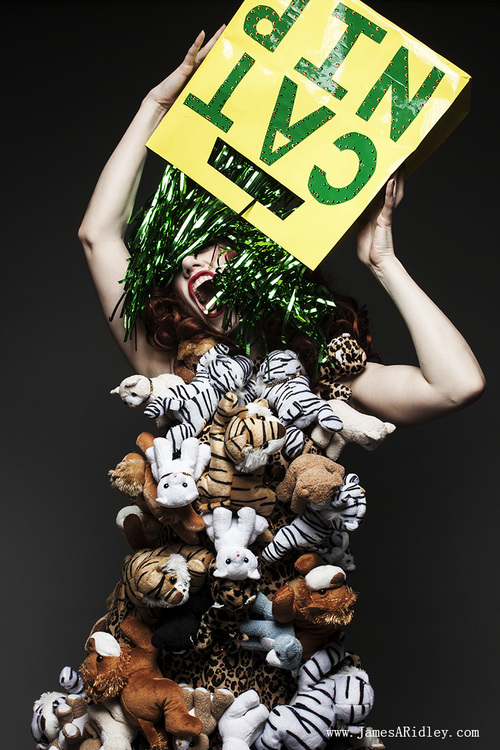 04-05-2015+-+TIger+Bay+-+Cat+Lady+-+174.jpg