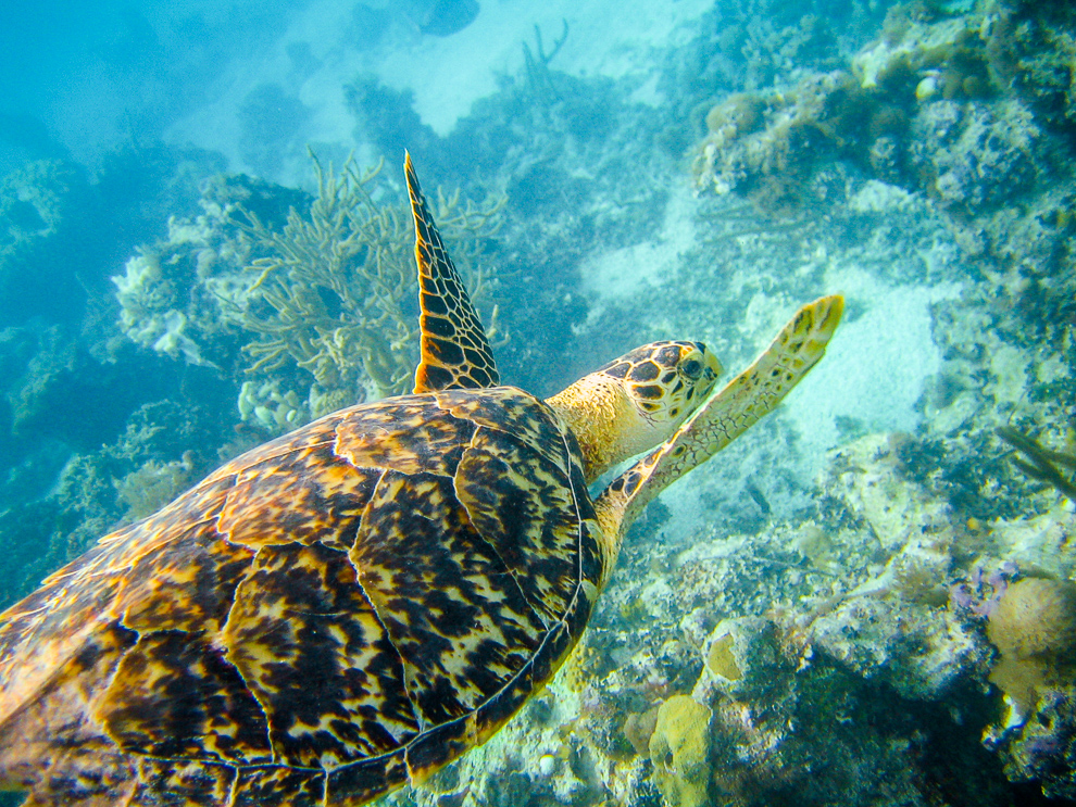 Turks & Caicos Islands