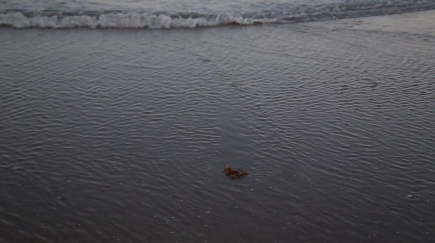 ECasey_BocaChica_drifting.png