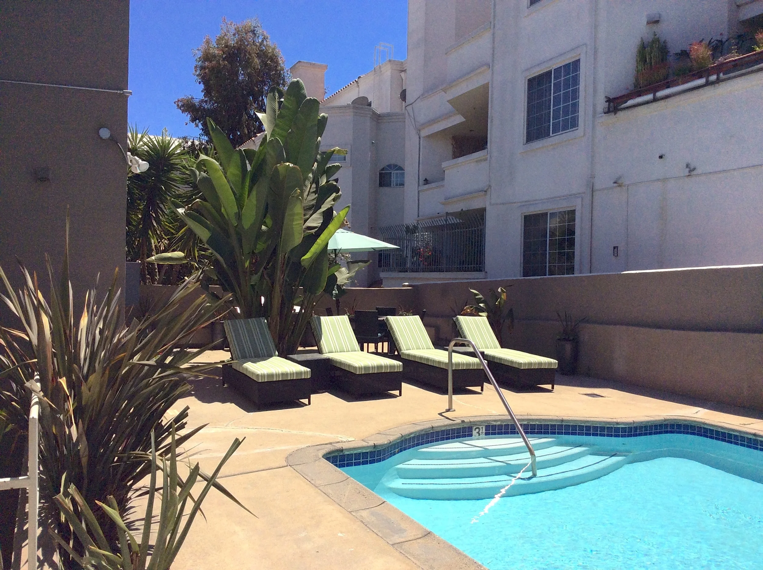 1837 La Brea Pool  1.JPG