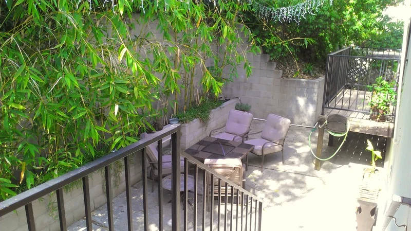IMAG0233-1.jpg