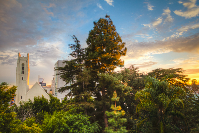 Hillcrest view.jpg