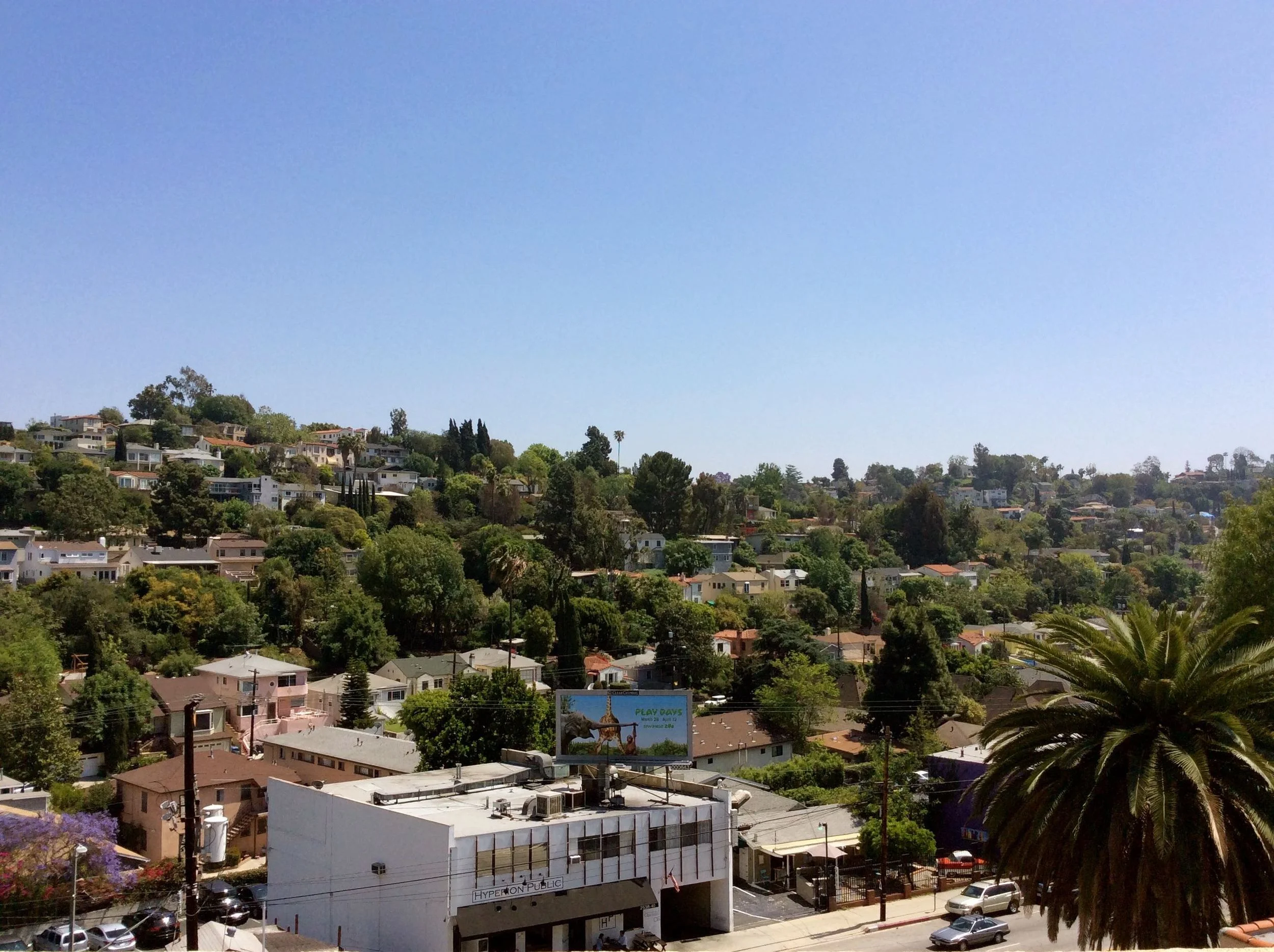IMG_1588_2.jpg