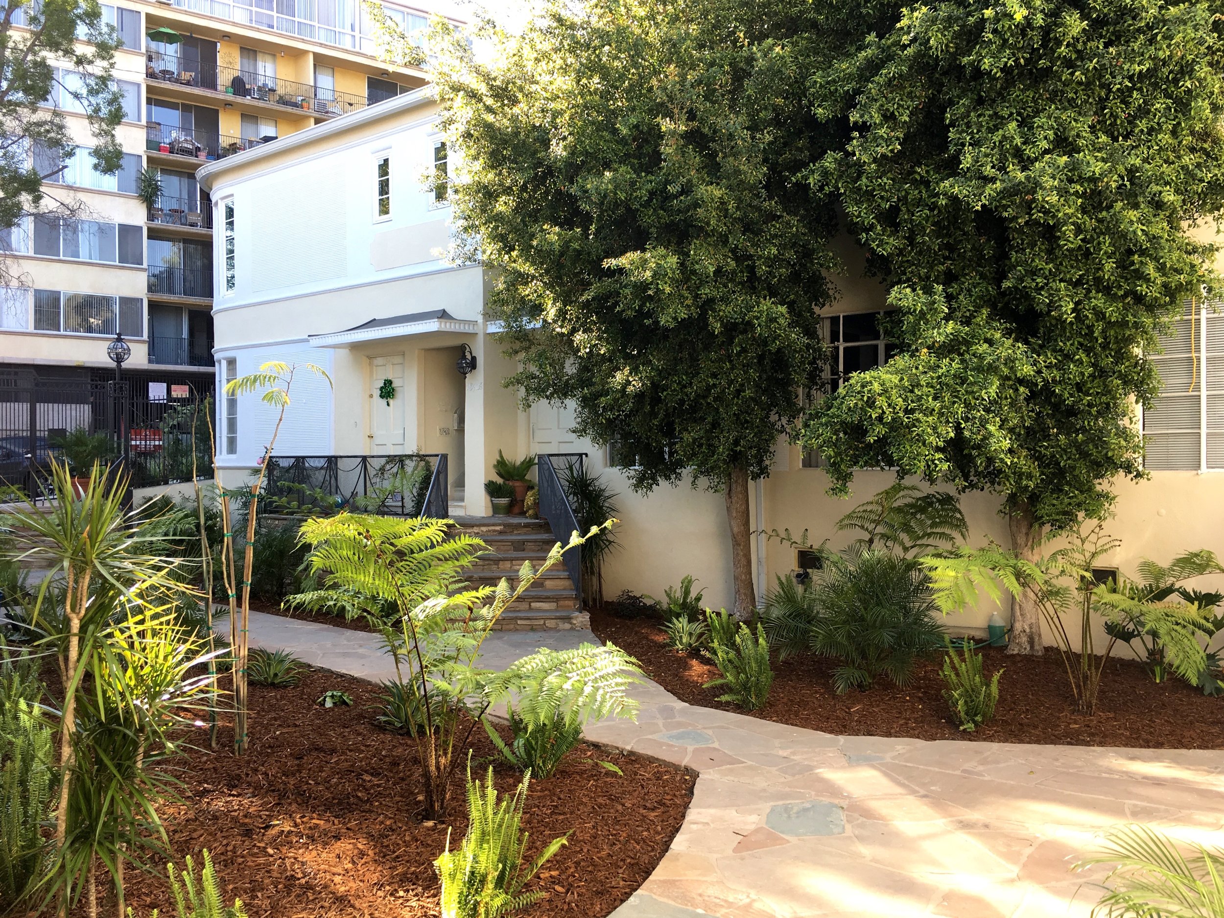 El Cerrito Bld 3.jpg