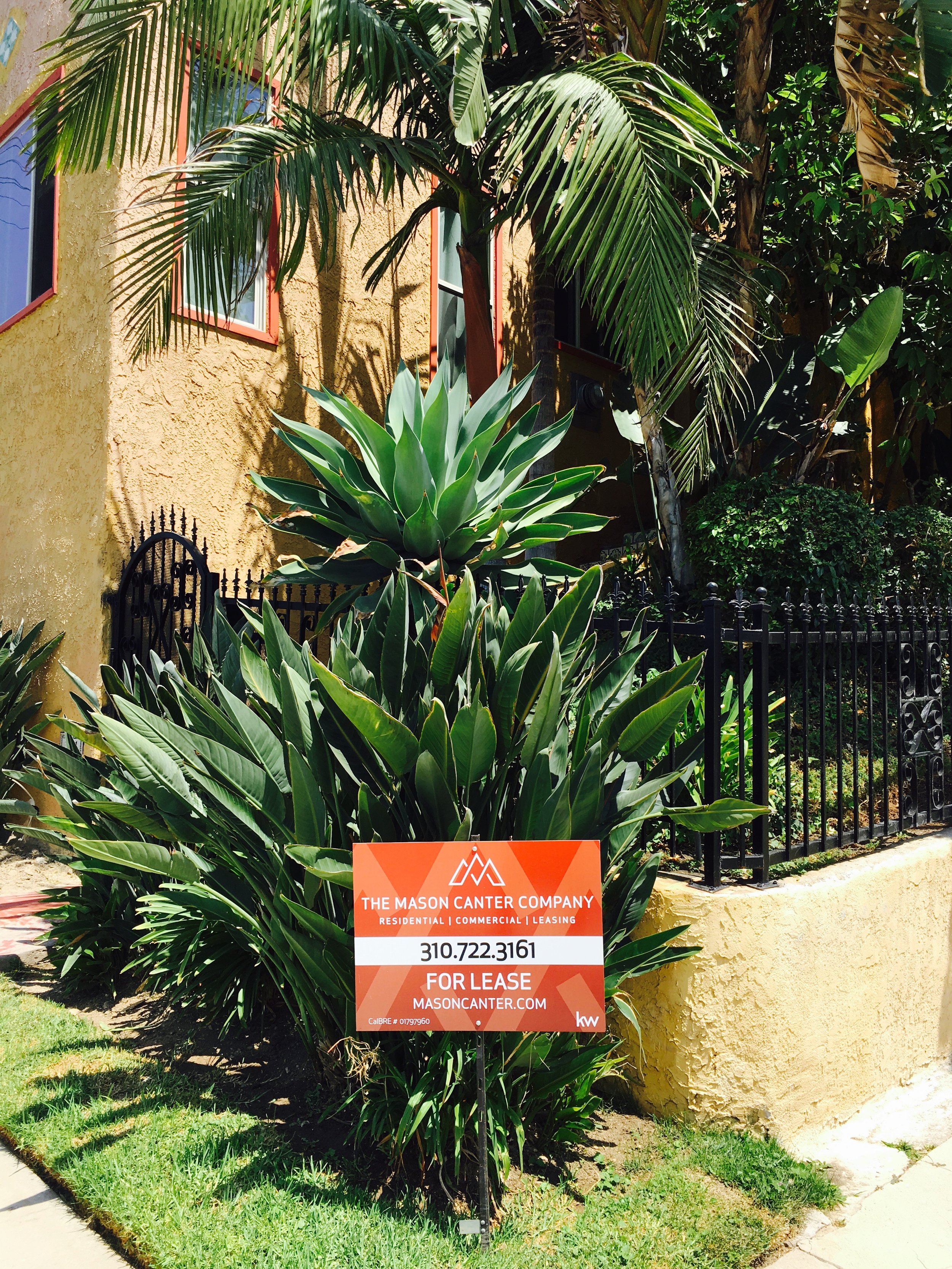 Mason Canter For Lease Sign 1.jpg