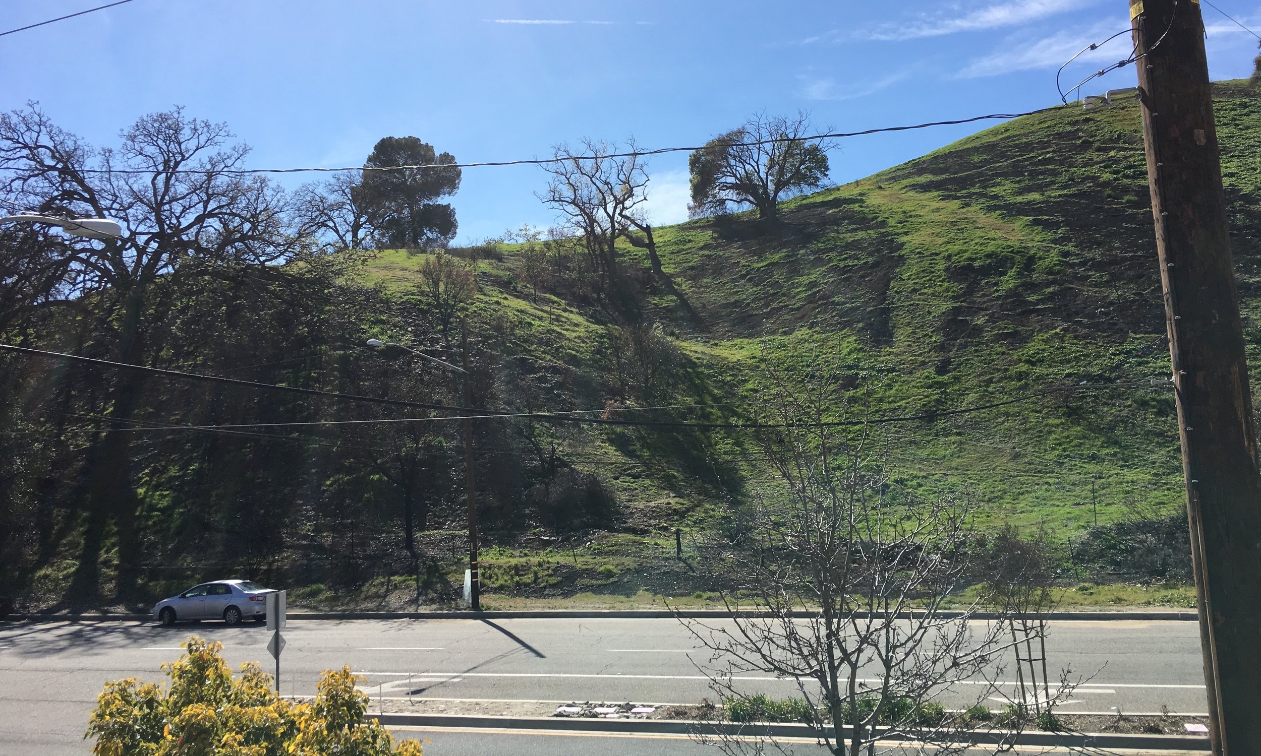 5352 Las Virgenes Rd 6a.jpg