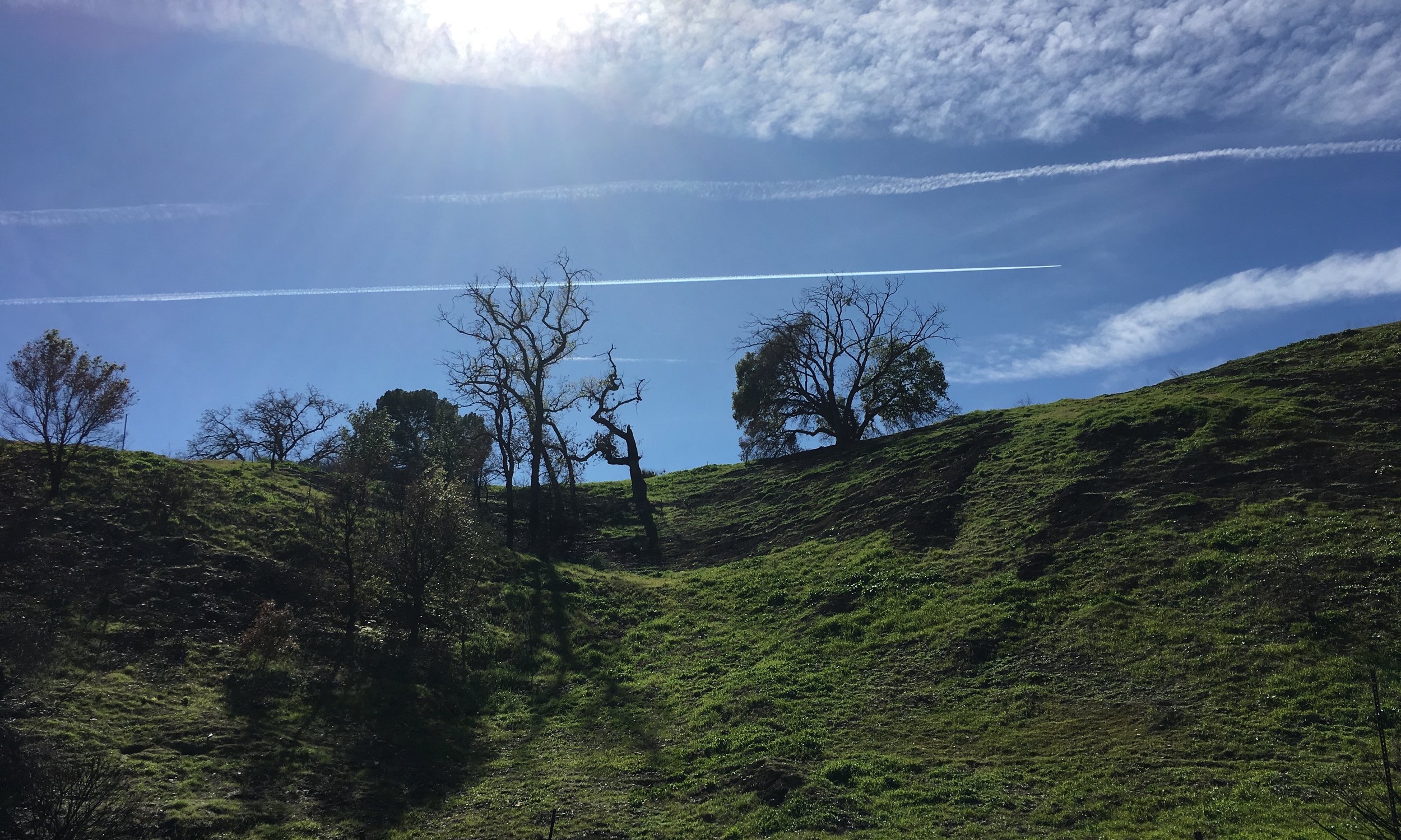5352 Las Virgenes Rd 9a.jpg