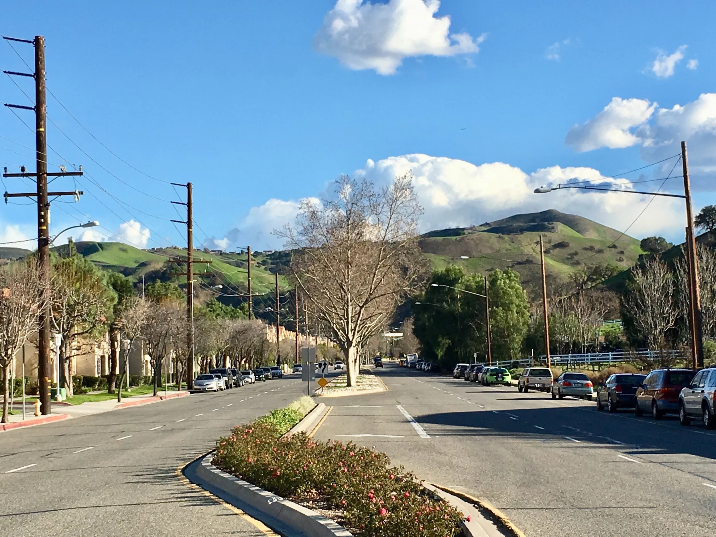 5352 Las Virgenes Rd 26.jpg