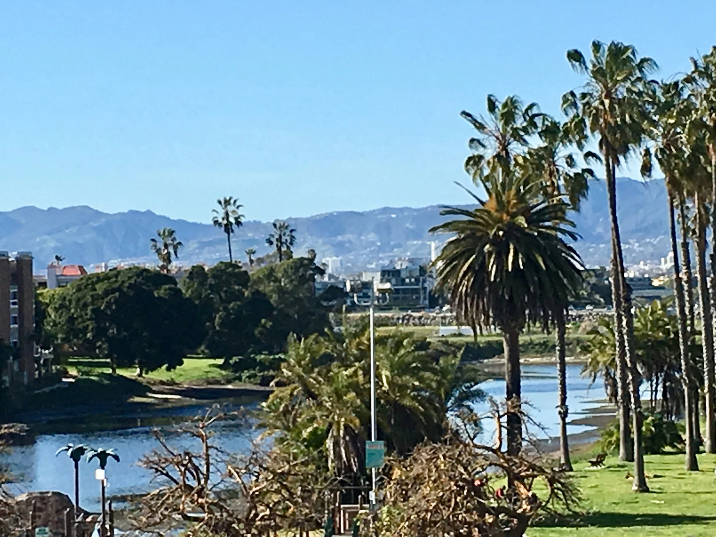 6824 Esplanade #301 14.jpg