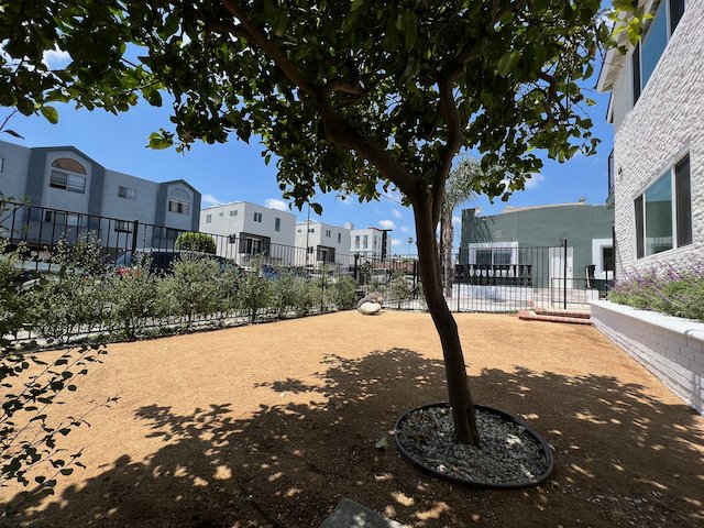 626 N Kingsley #2 Lt Stg - 20.jpeg