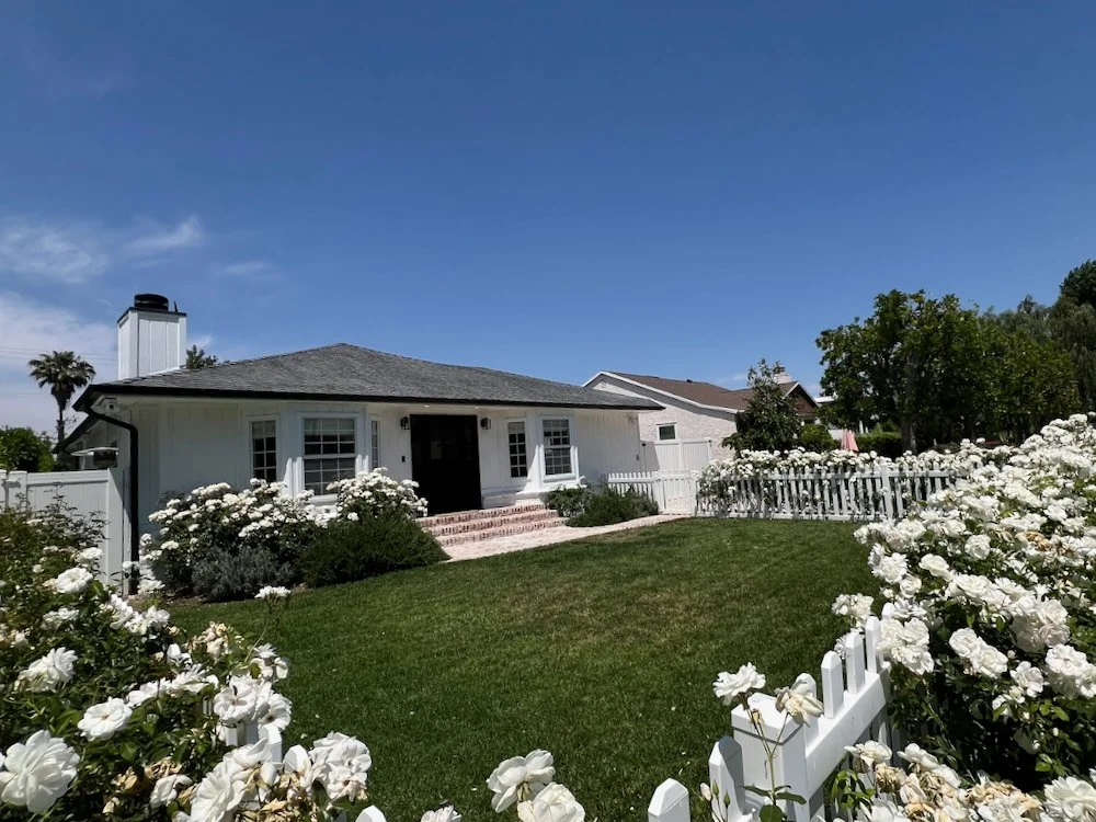 18030 Rosita Twilight - 27.jpeg