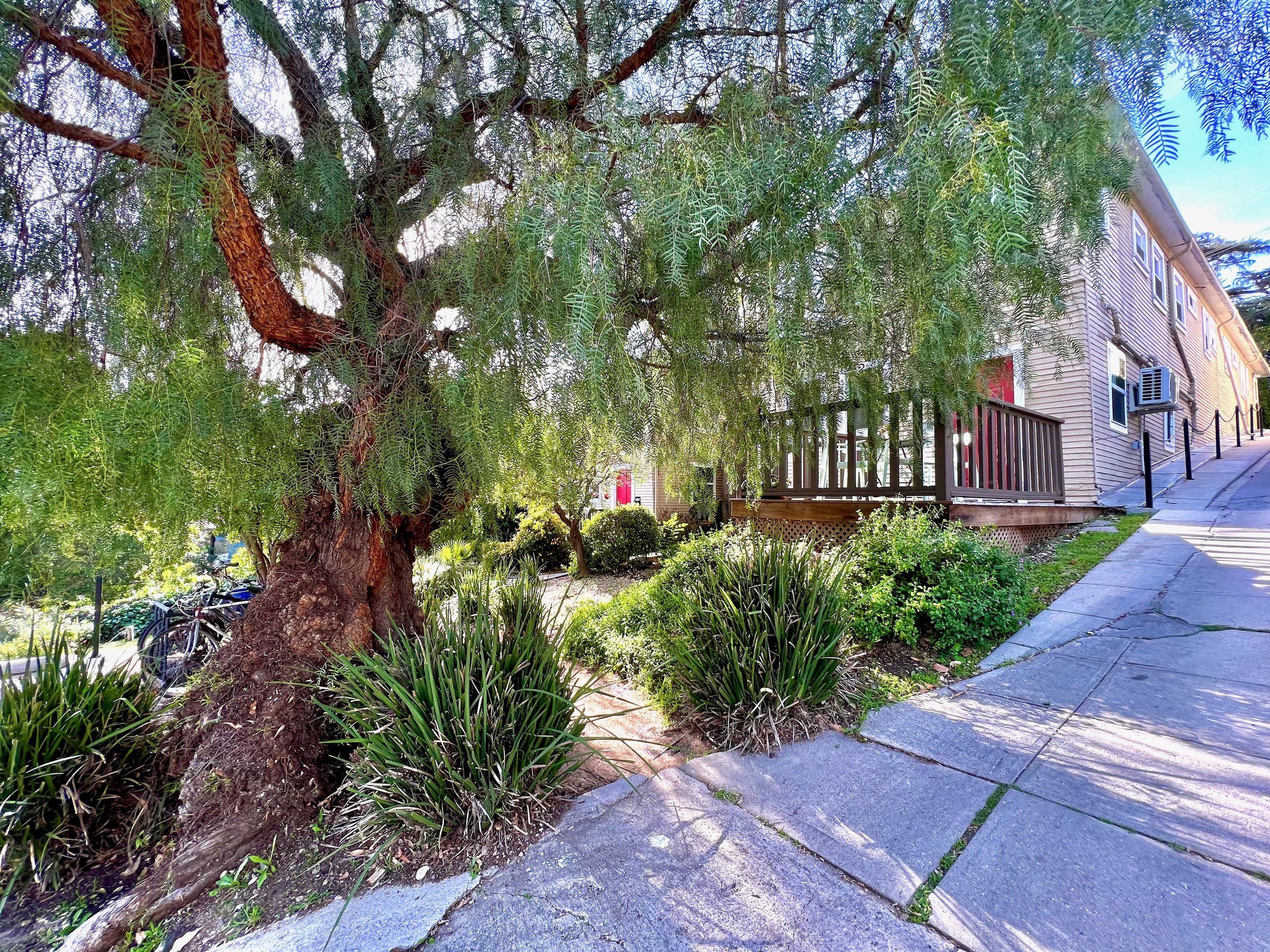 1922 1-4 Preston Ave - 20.jpeg