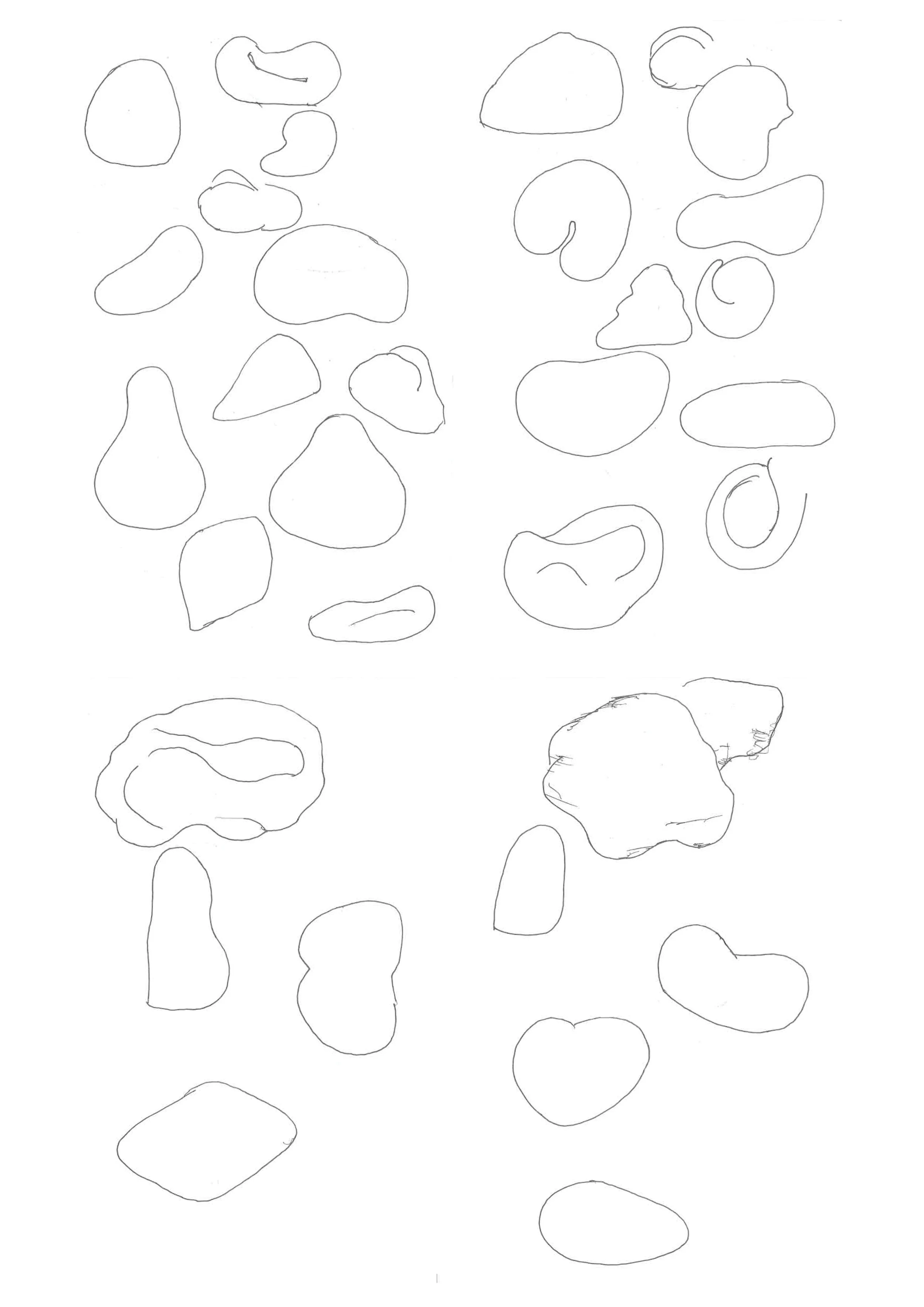 embryo_sketches.jpg