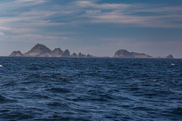 On a clear day when you approach the Farallon Islands a sense of adventure washes over you. The sounds, sights and smells tell you that this is a place of pure wilderness. For the first time since moving to SF I was able to see the islands from shore