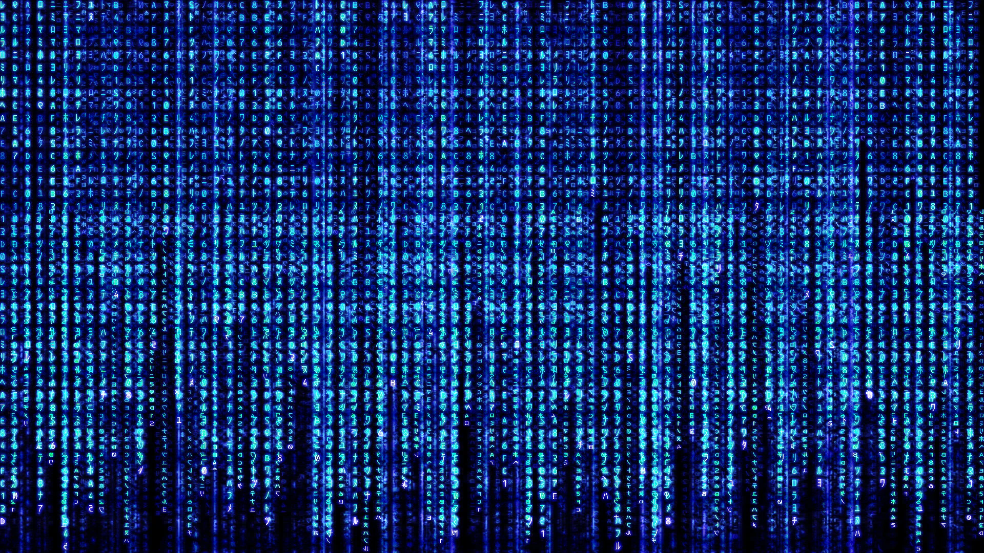 Web / Database