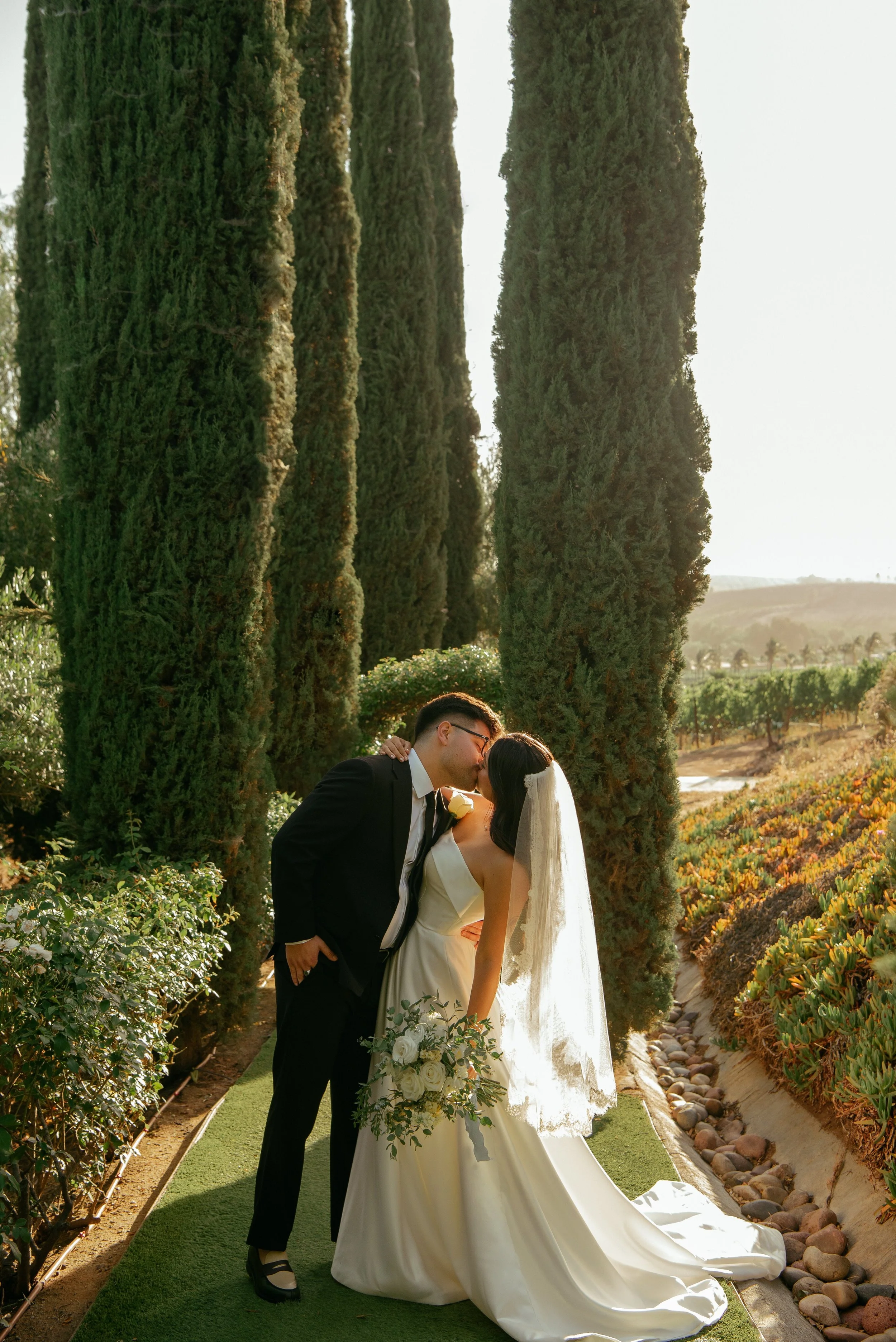 Bride and Groom kissing in front of Italian cypress tress at golden hour