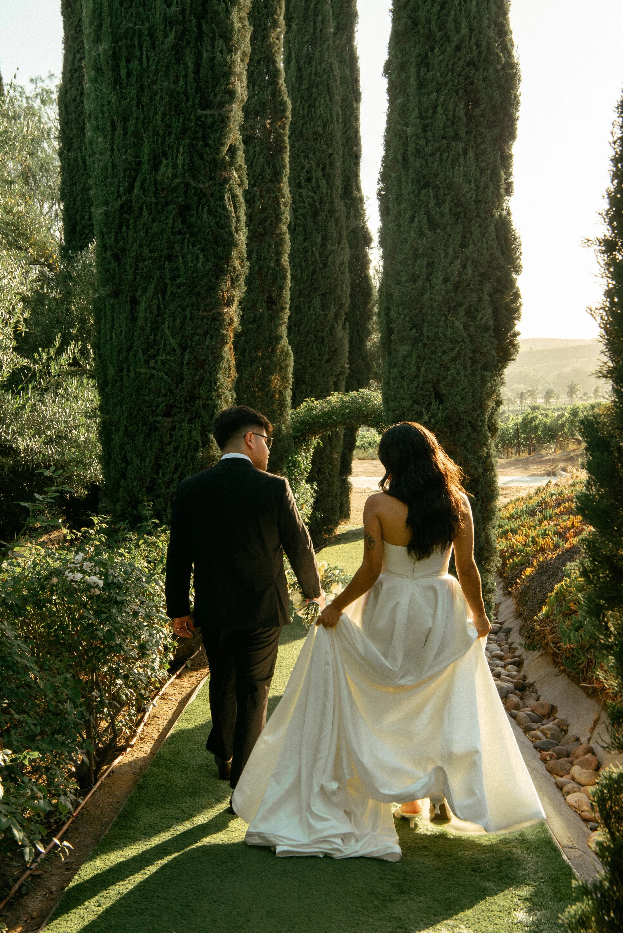 Bride and Groom walking away from camera towards tall cypress trees.