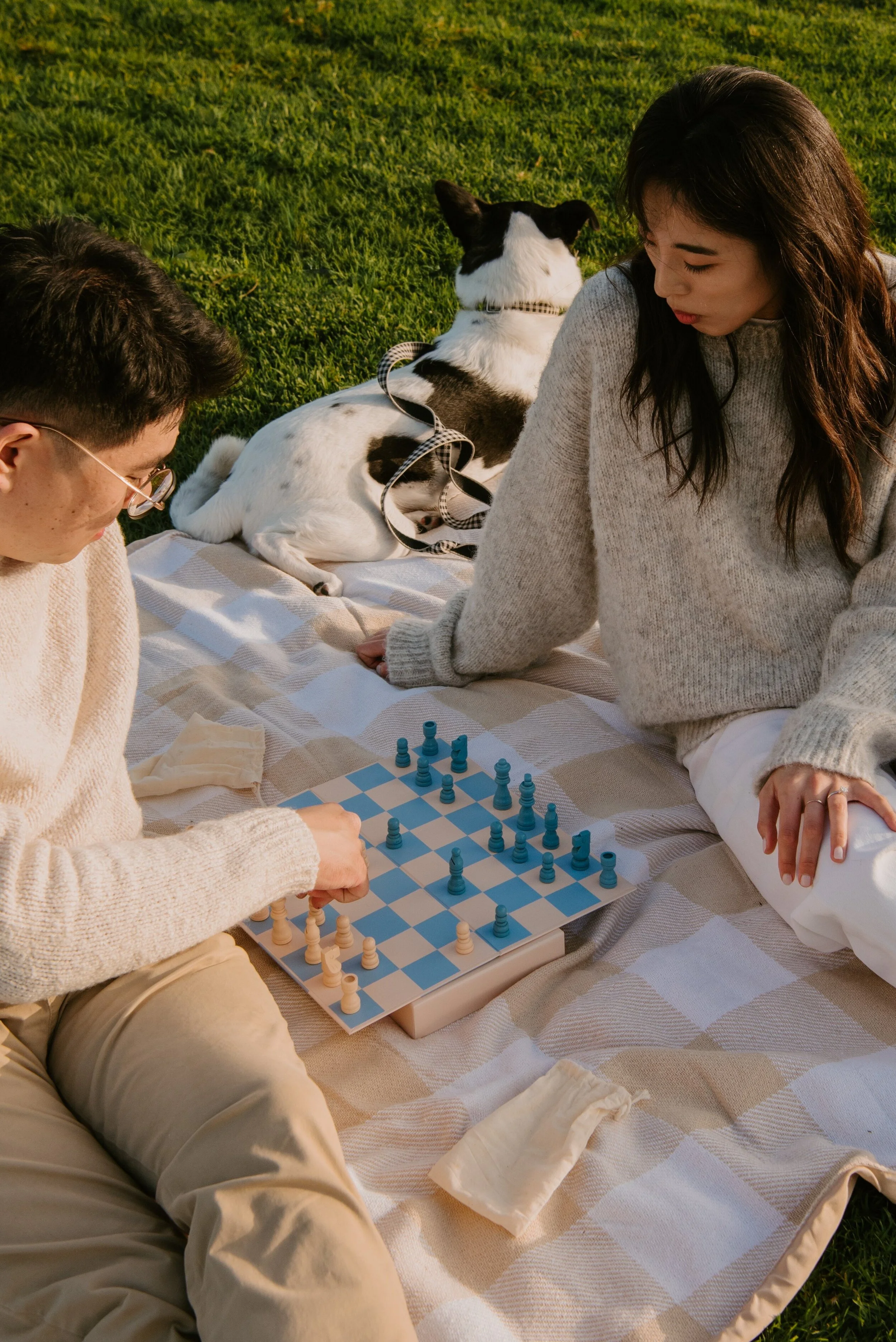 Couple playing chess in the park on a blanket with Dog in background