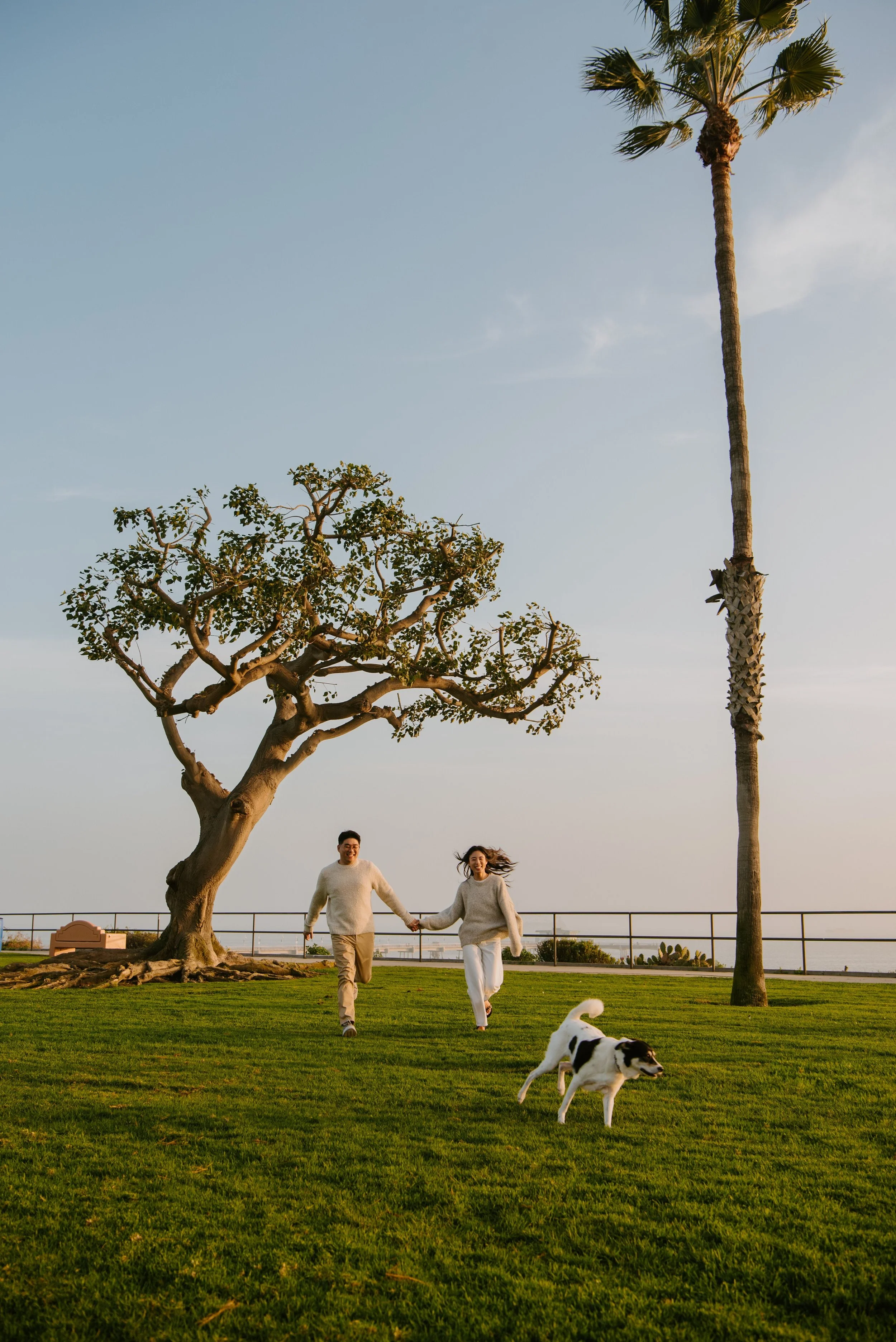 couple running in the park with their dog