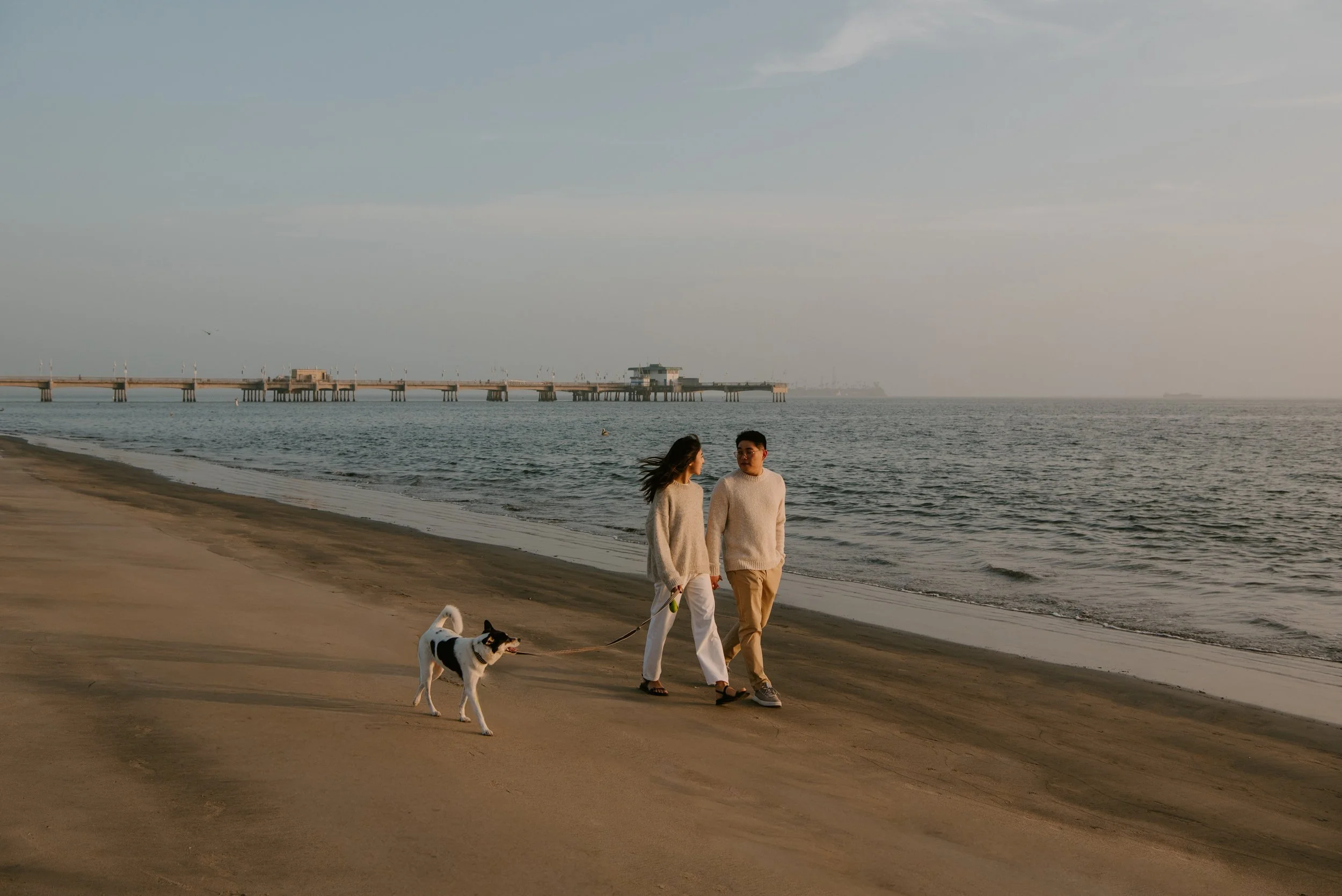 Couple walking along the water on the beach with their dog