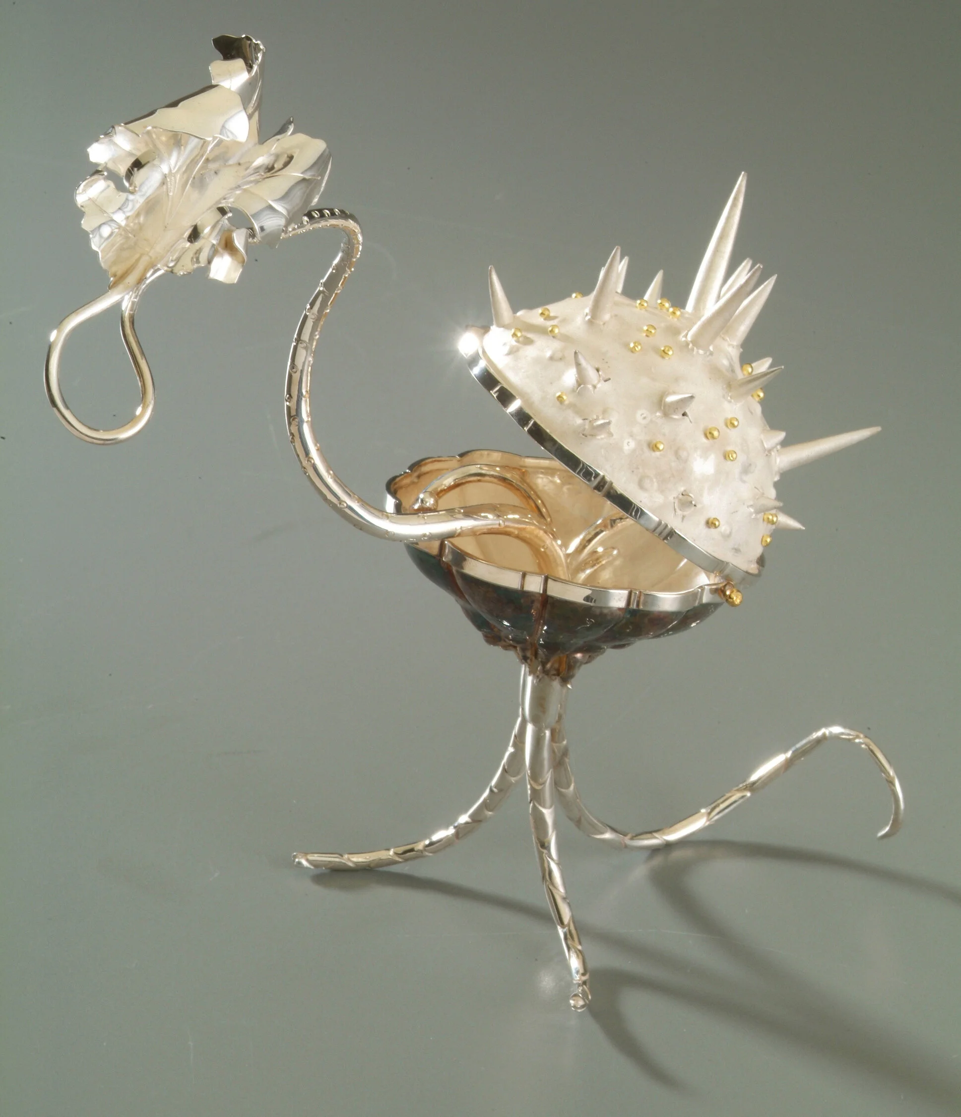 Release Top View.jpg