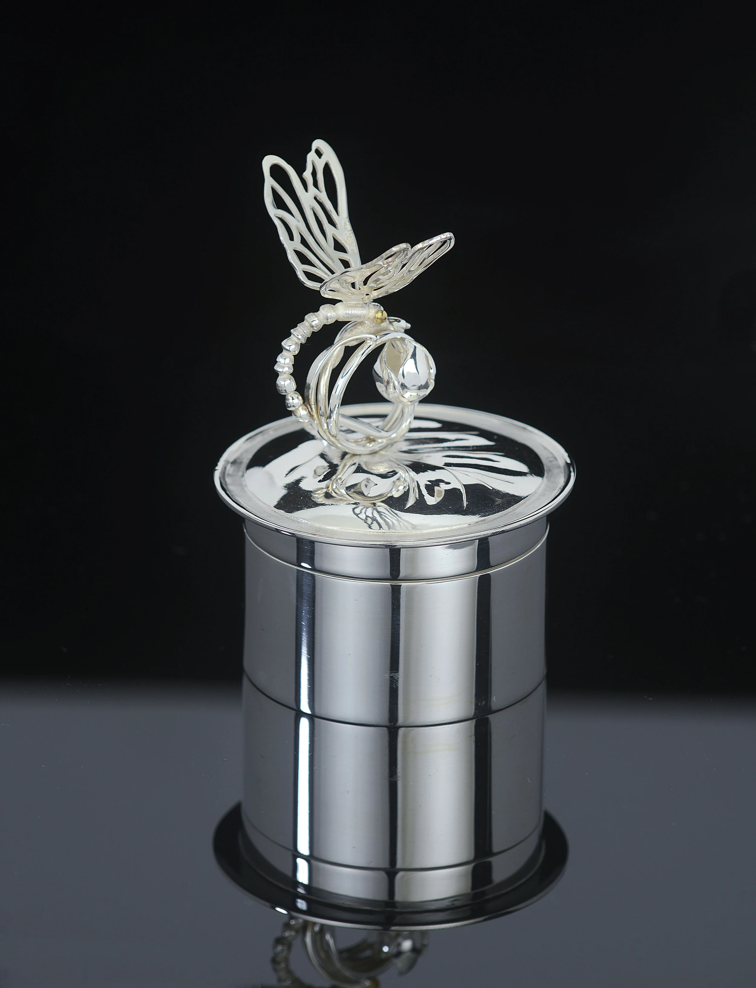 Waterlily Dragonfly Closed.jpg