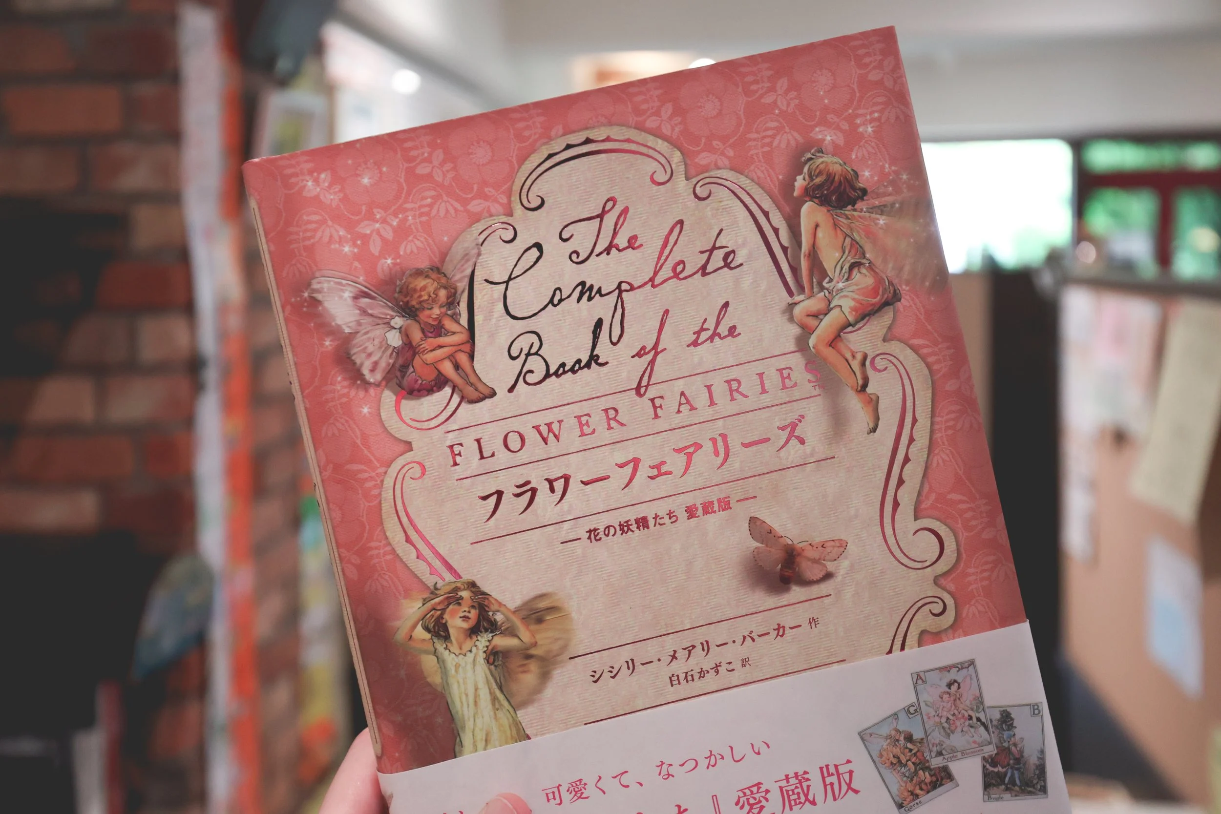 the complete book of the flower fairies