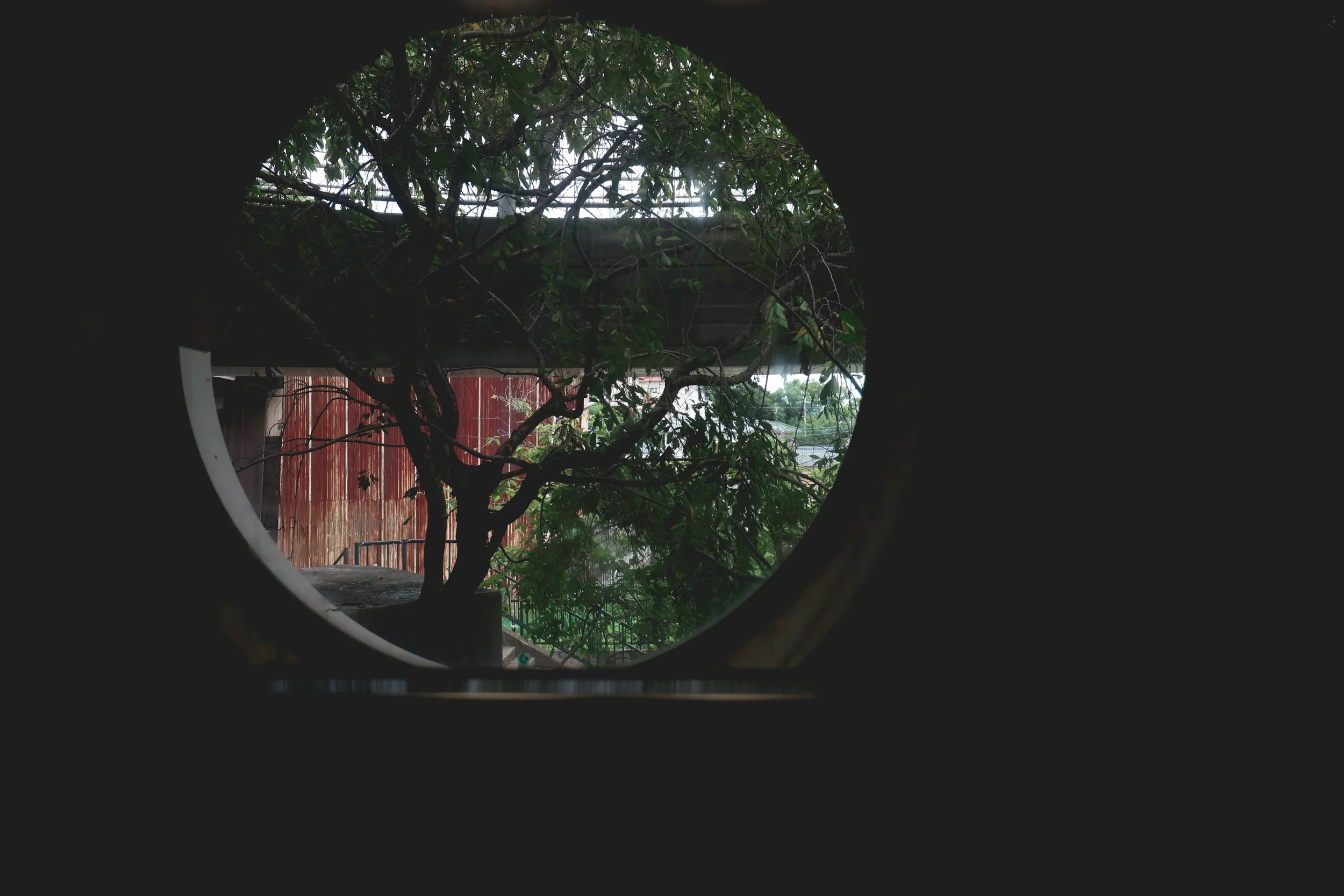 Glover Skyroad elevator window