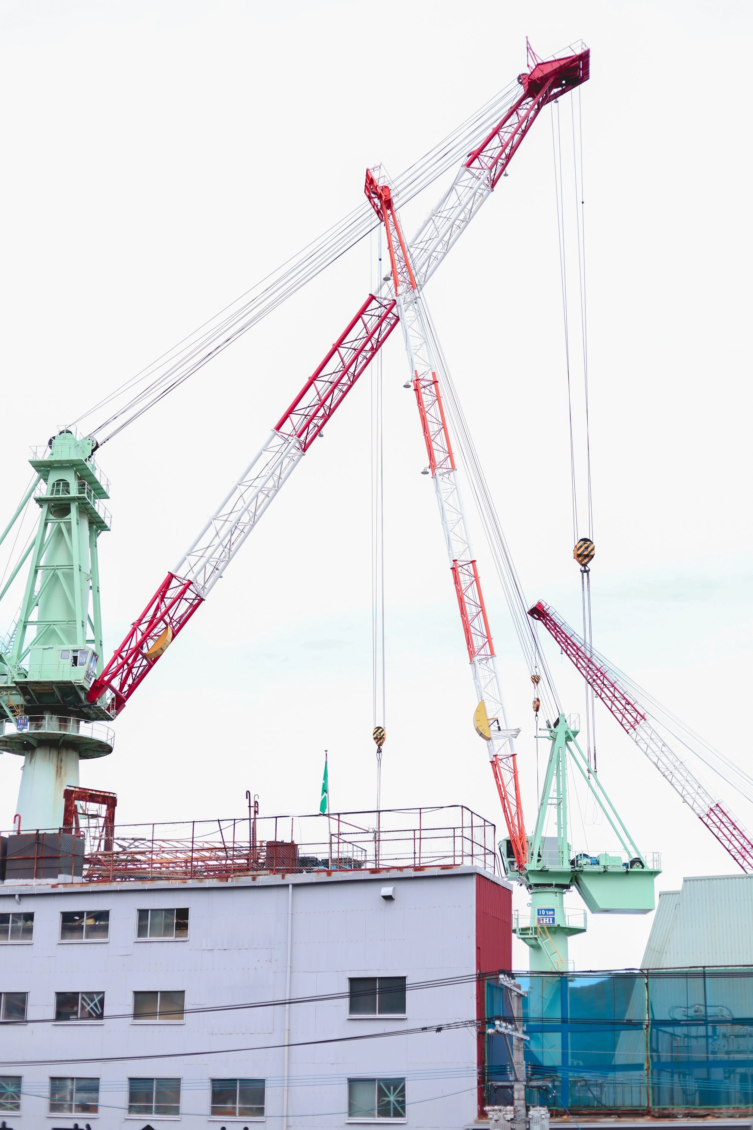 Nagasaki cranes