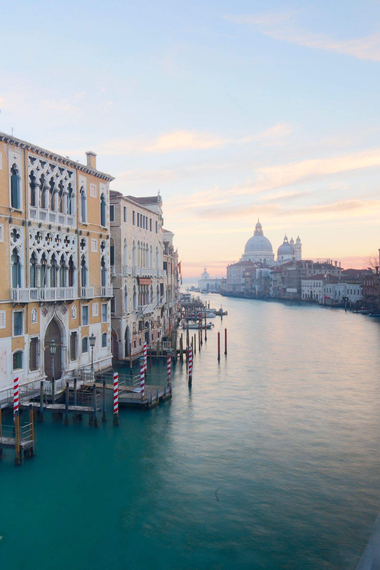 THE RICHES OF VENICE