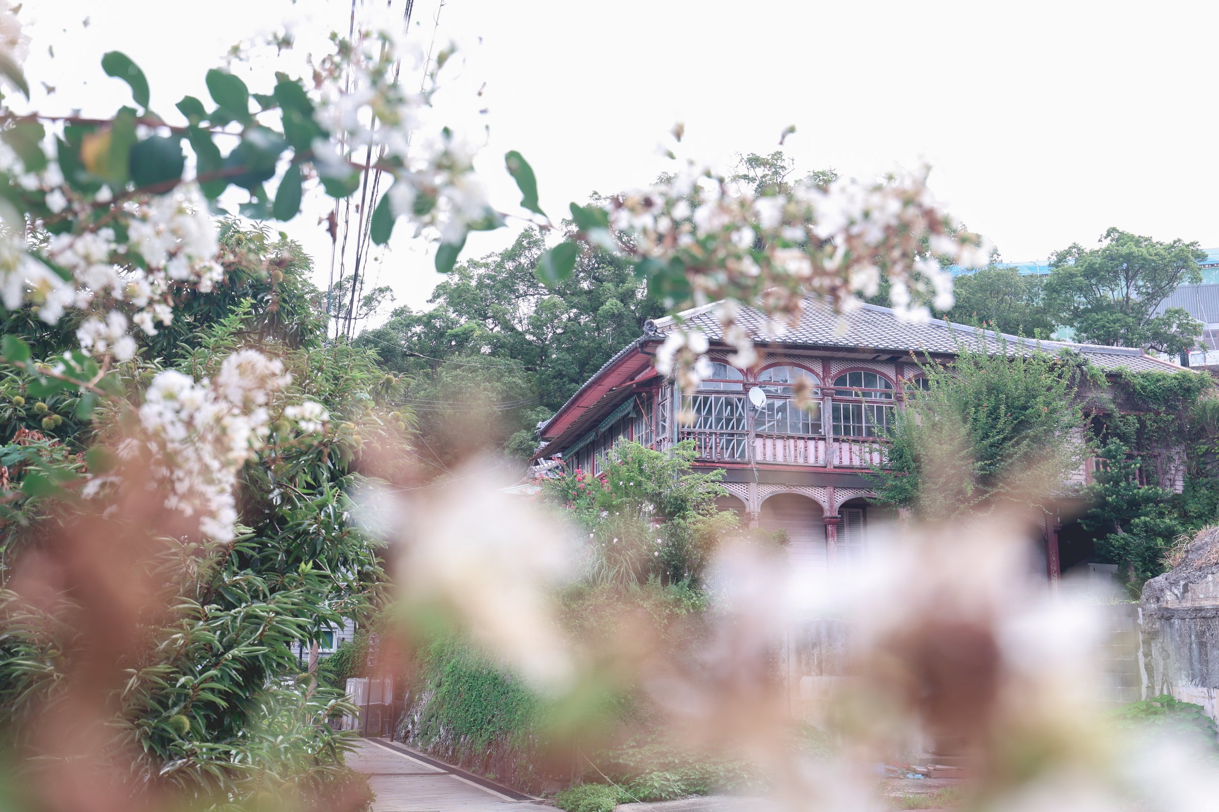 Nagasaki blooms