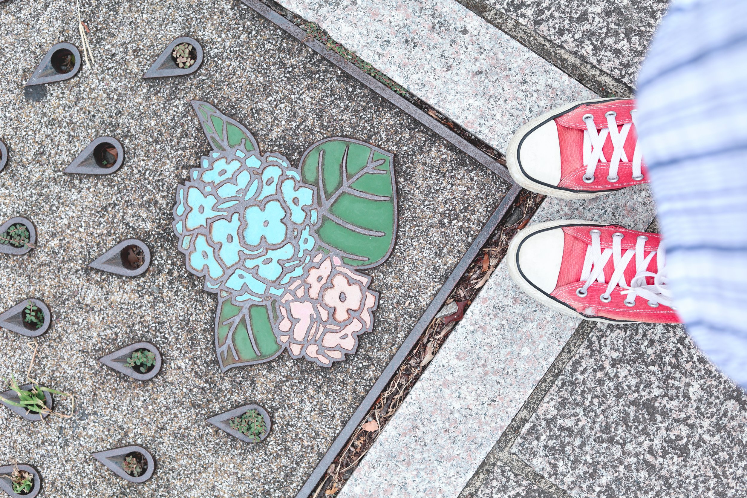 Nagasaki hydrangea pavement art