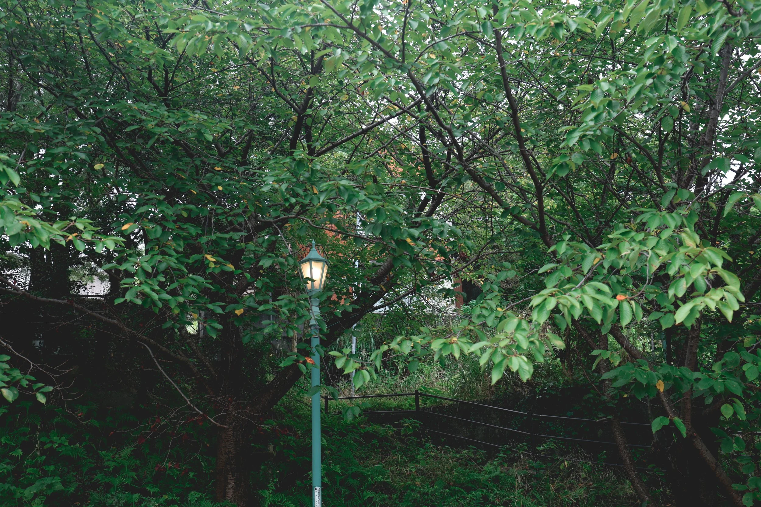 Glover park Nagasaki