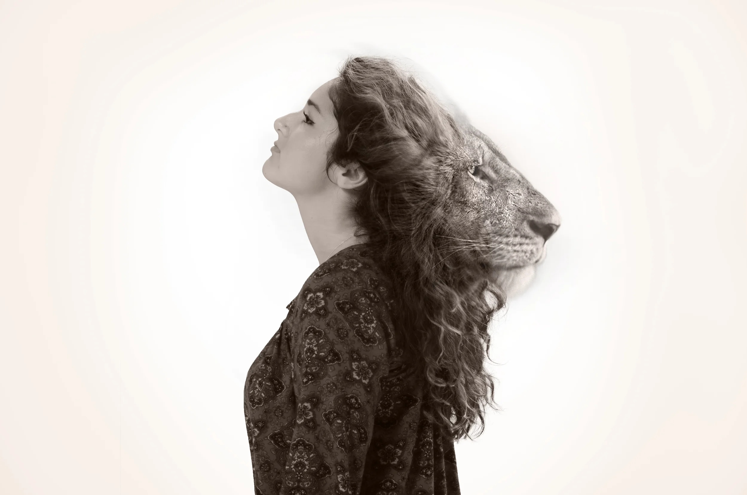 curious portrait series