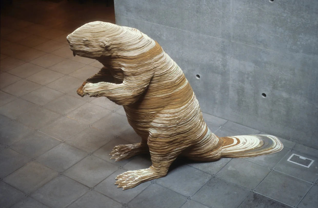 Beaver Story