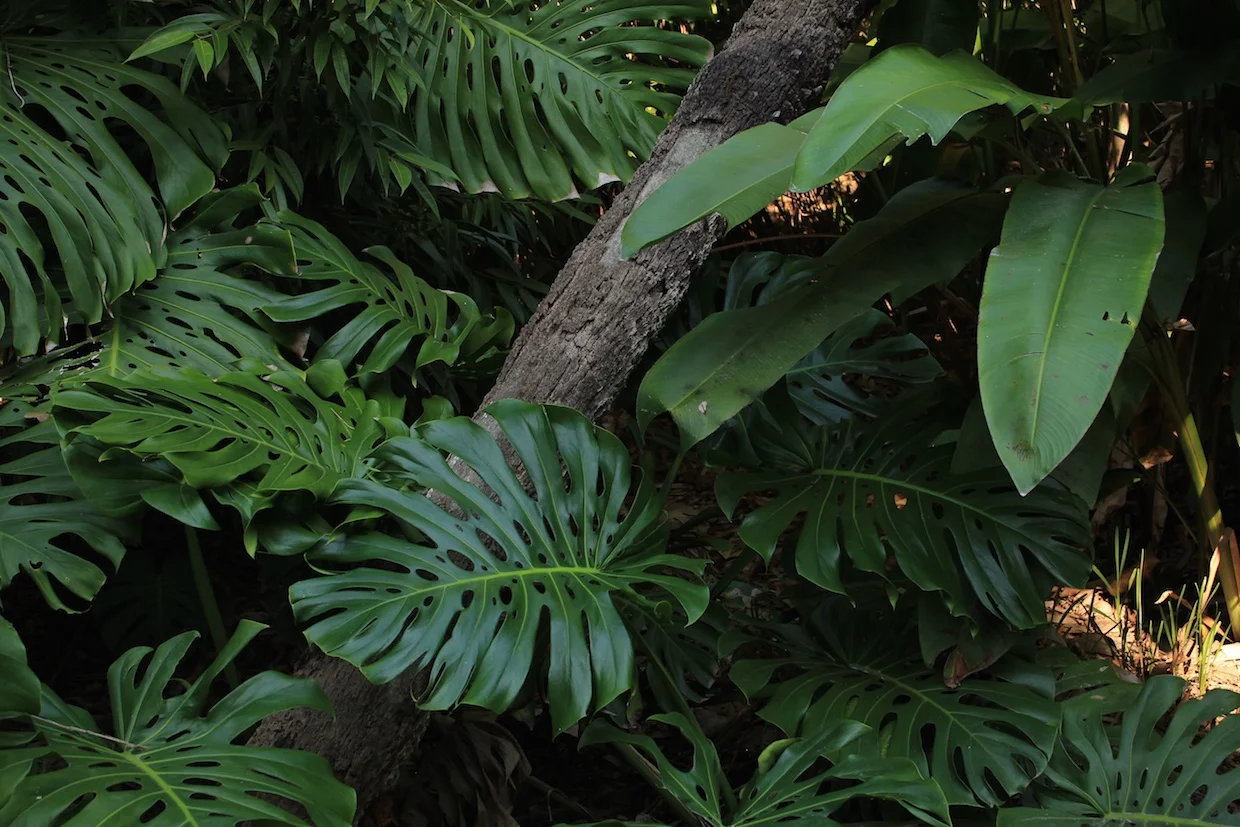 <untitled> 19.jpg