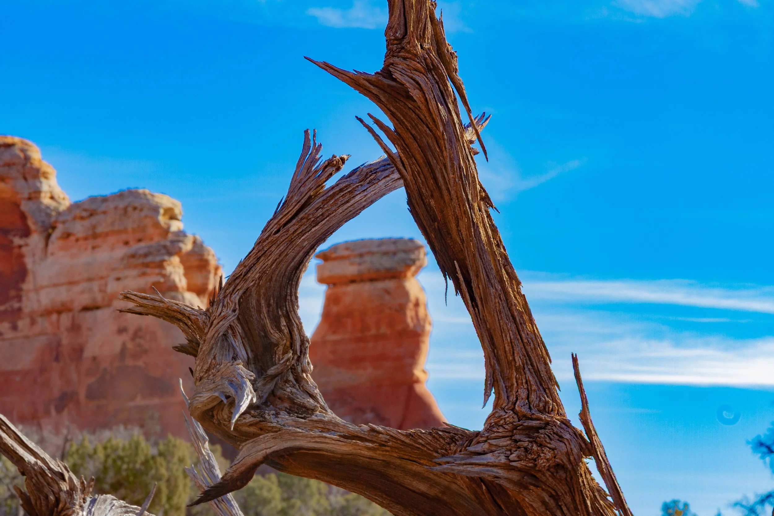 Utah’s Finest- Arches NP