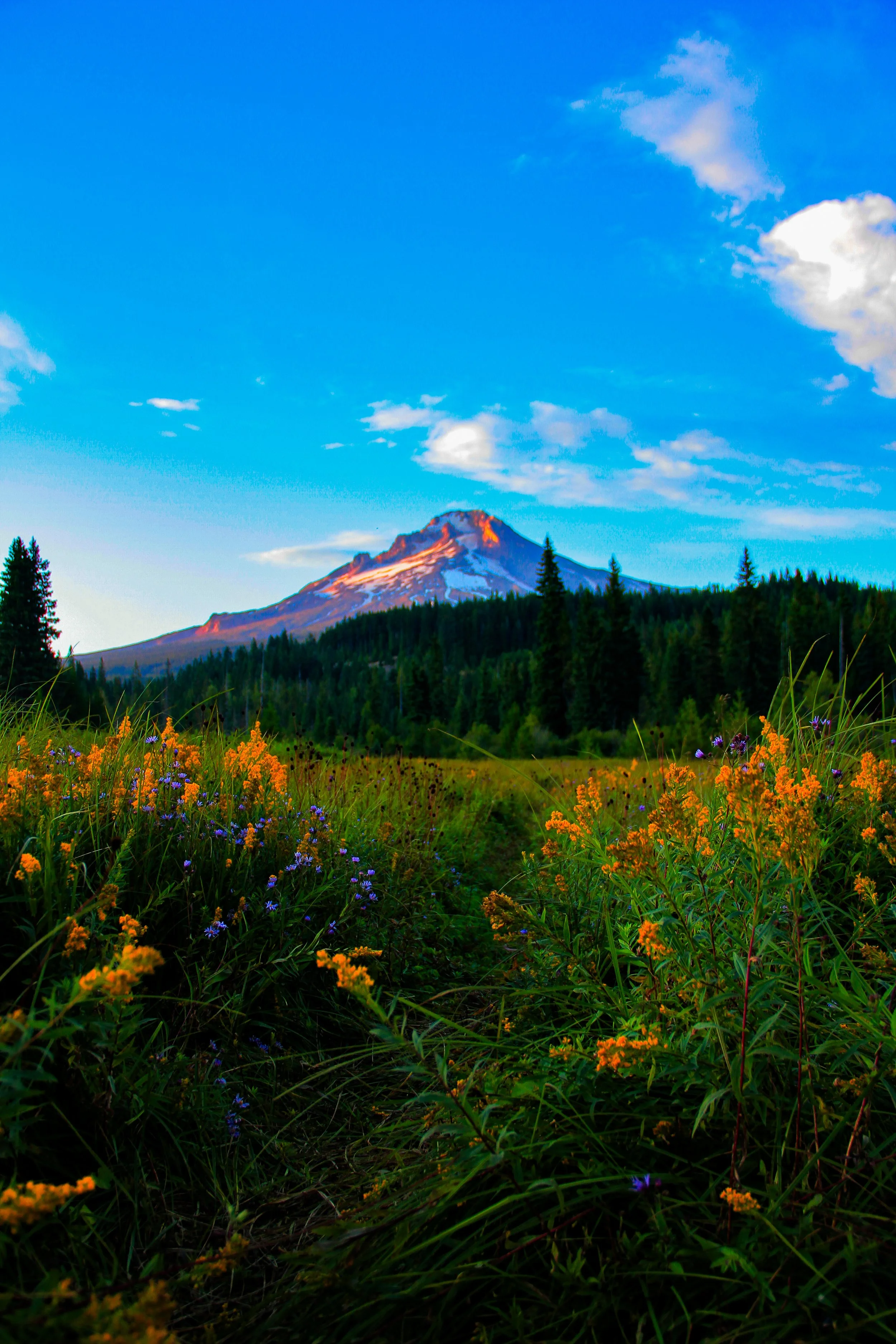 A Resurrection of Sorts