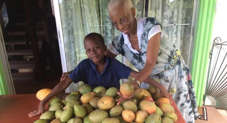 mercy and mangoes.jpg